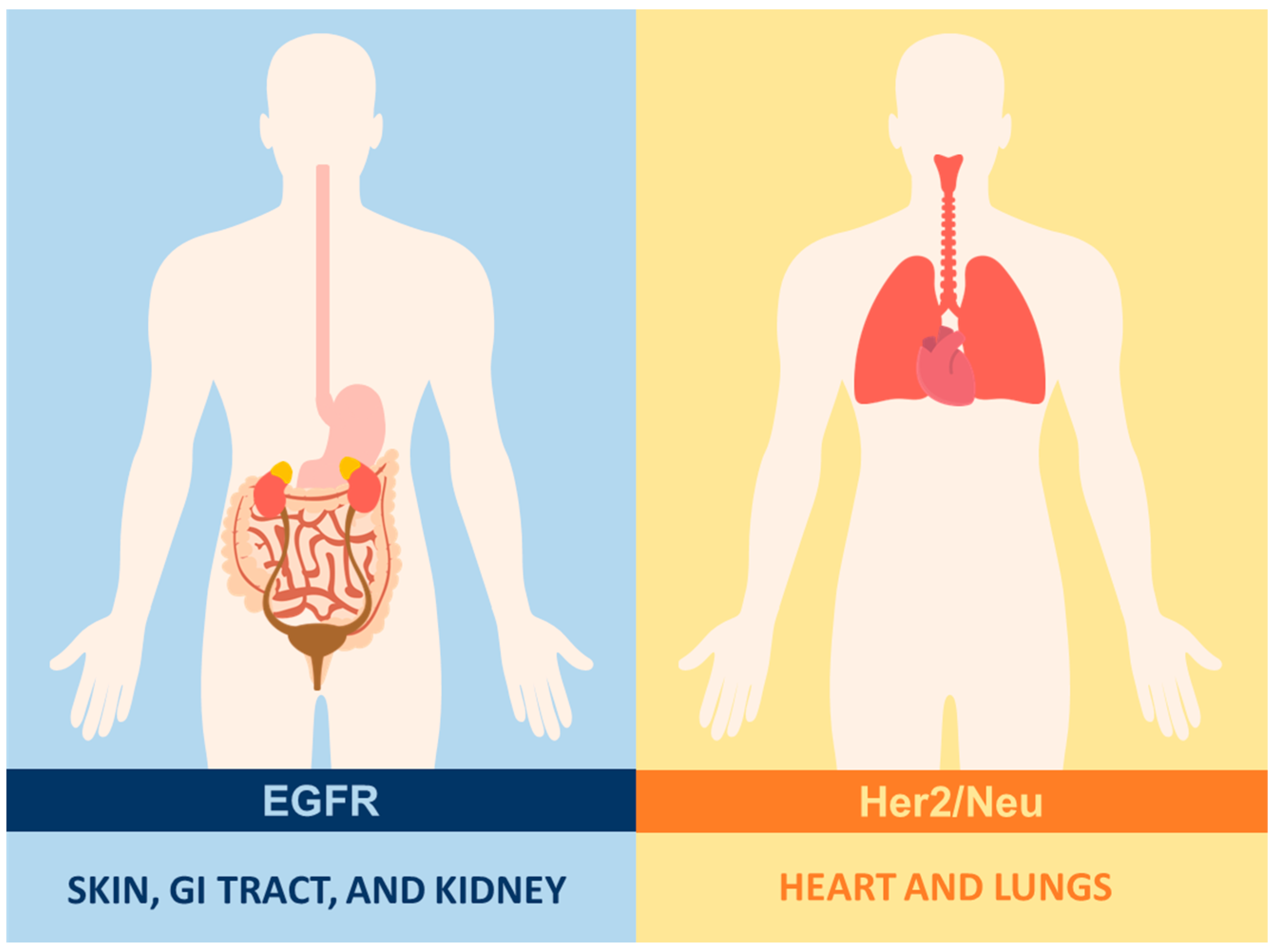 Ijms 25 04170 g003 Ijms 25 04170 g003
