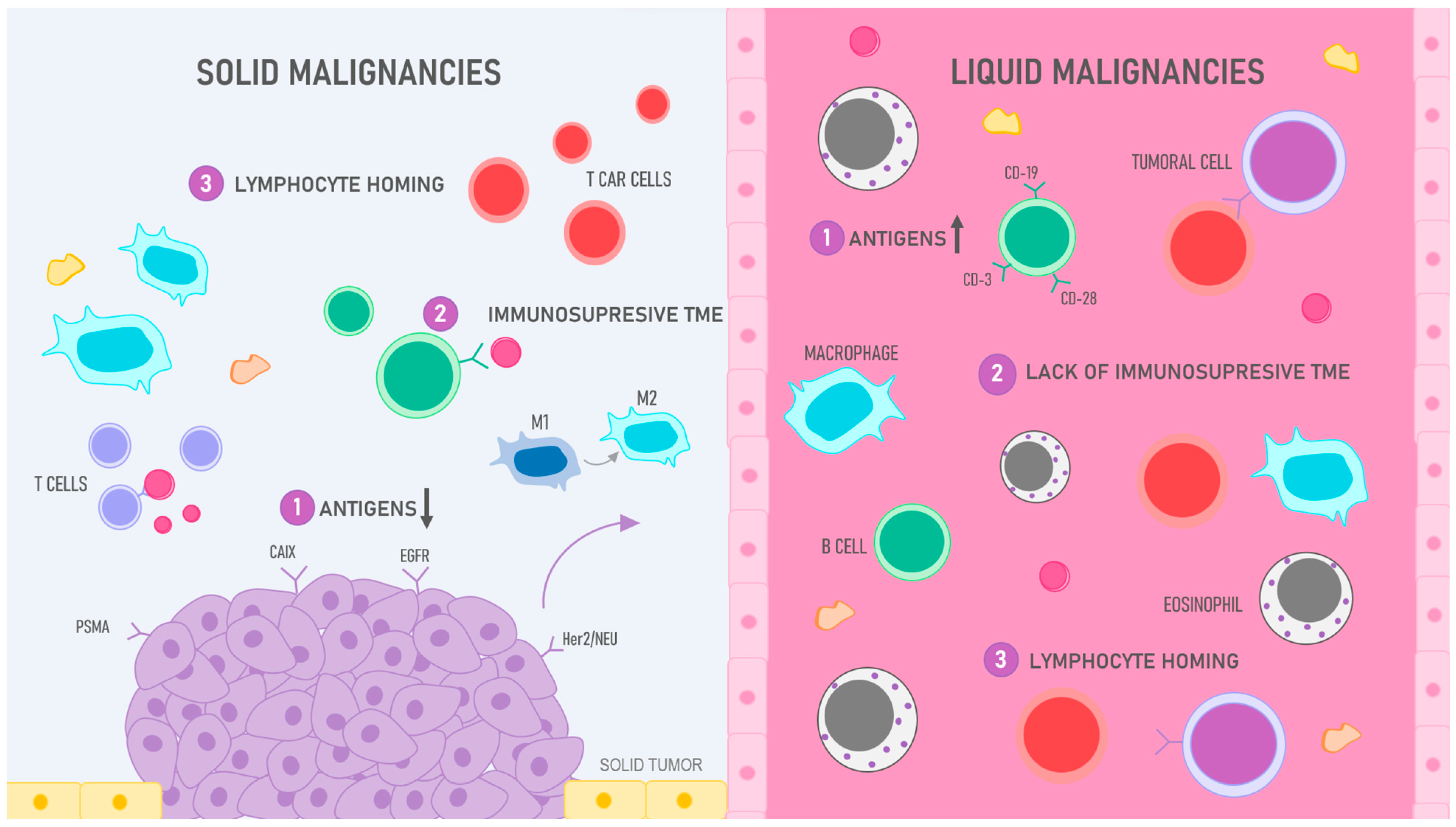 Ijms 25 04170 g004 Ijms 25 04170 g004