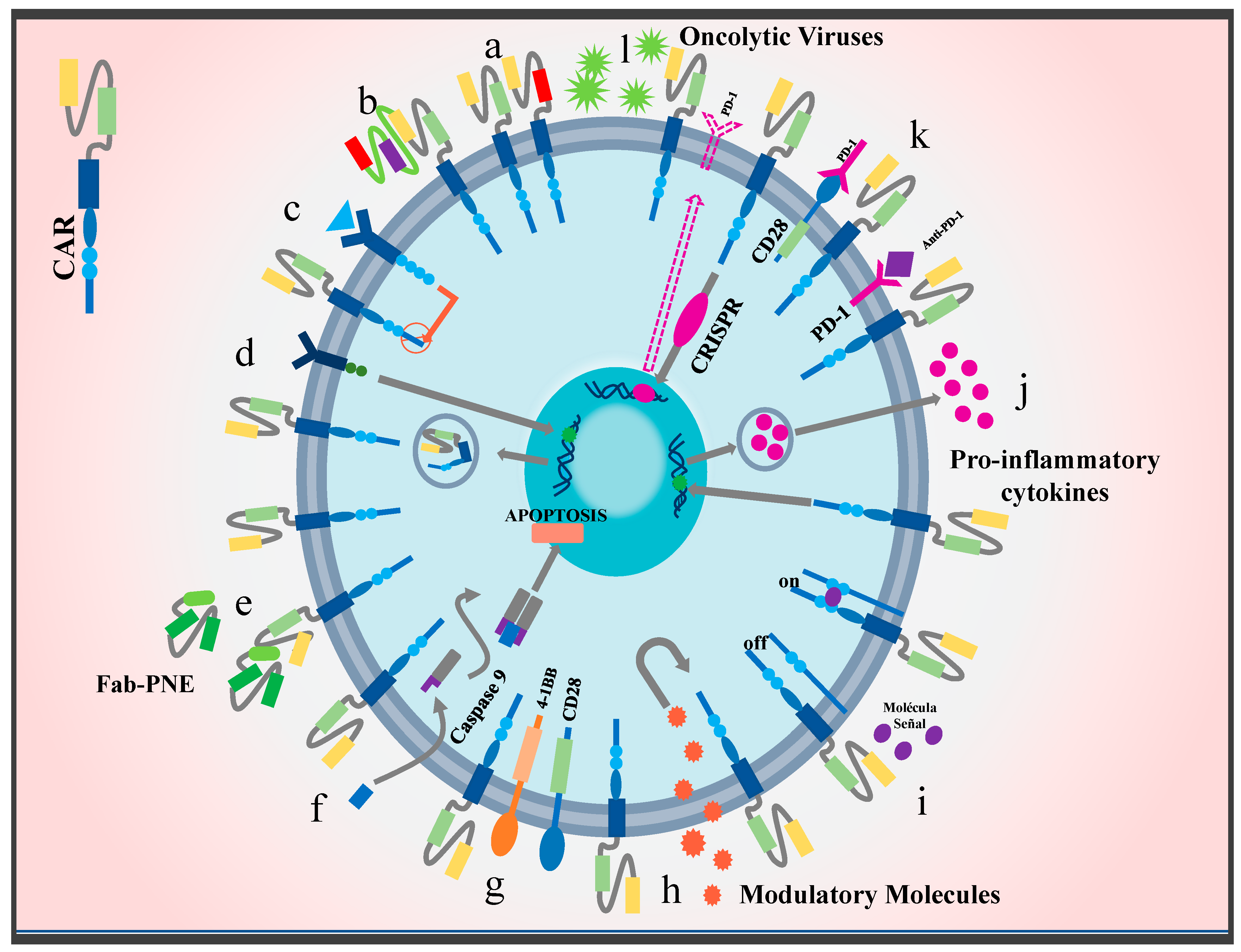 Ijms 25 04170 g005 Ijms 25 04170 g005