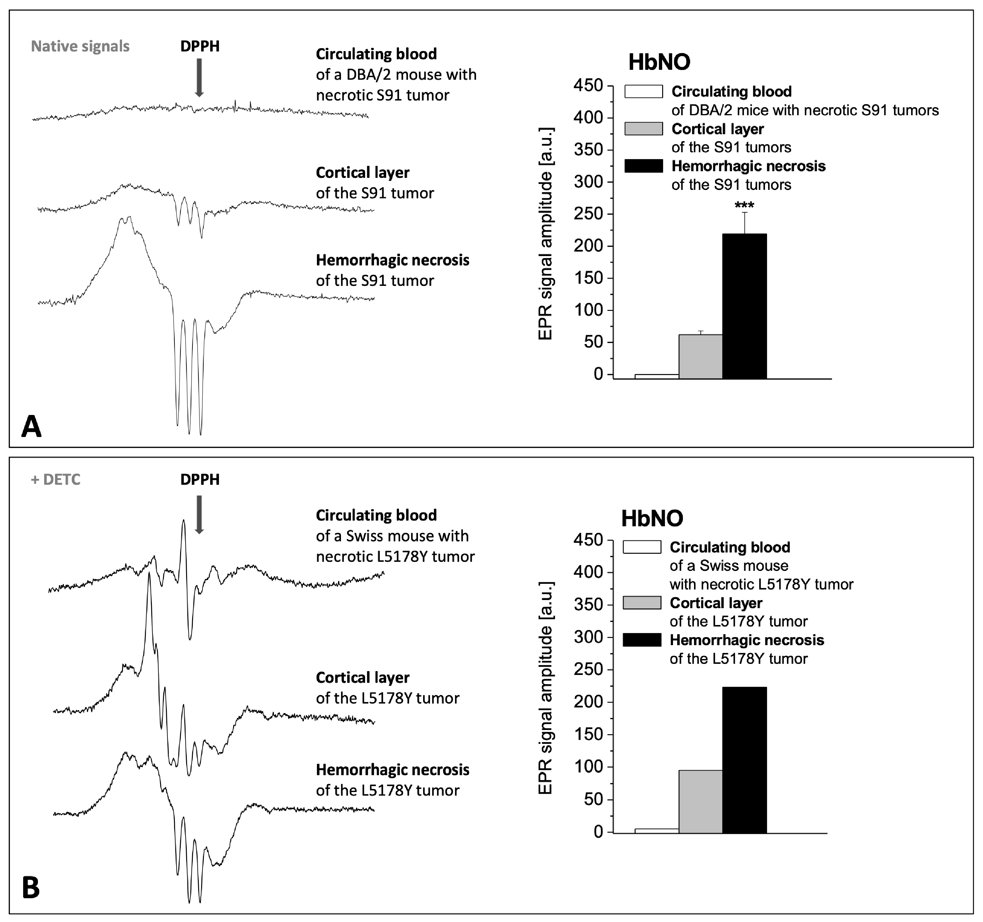 Ijms 25 04172 g005 Ijms 25 04172 g005
