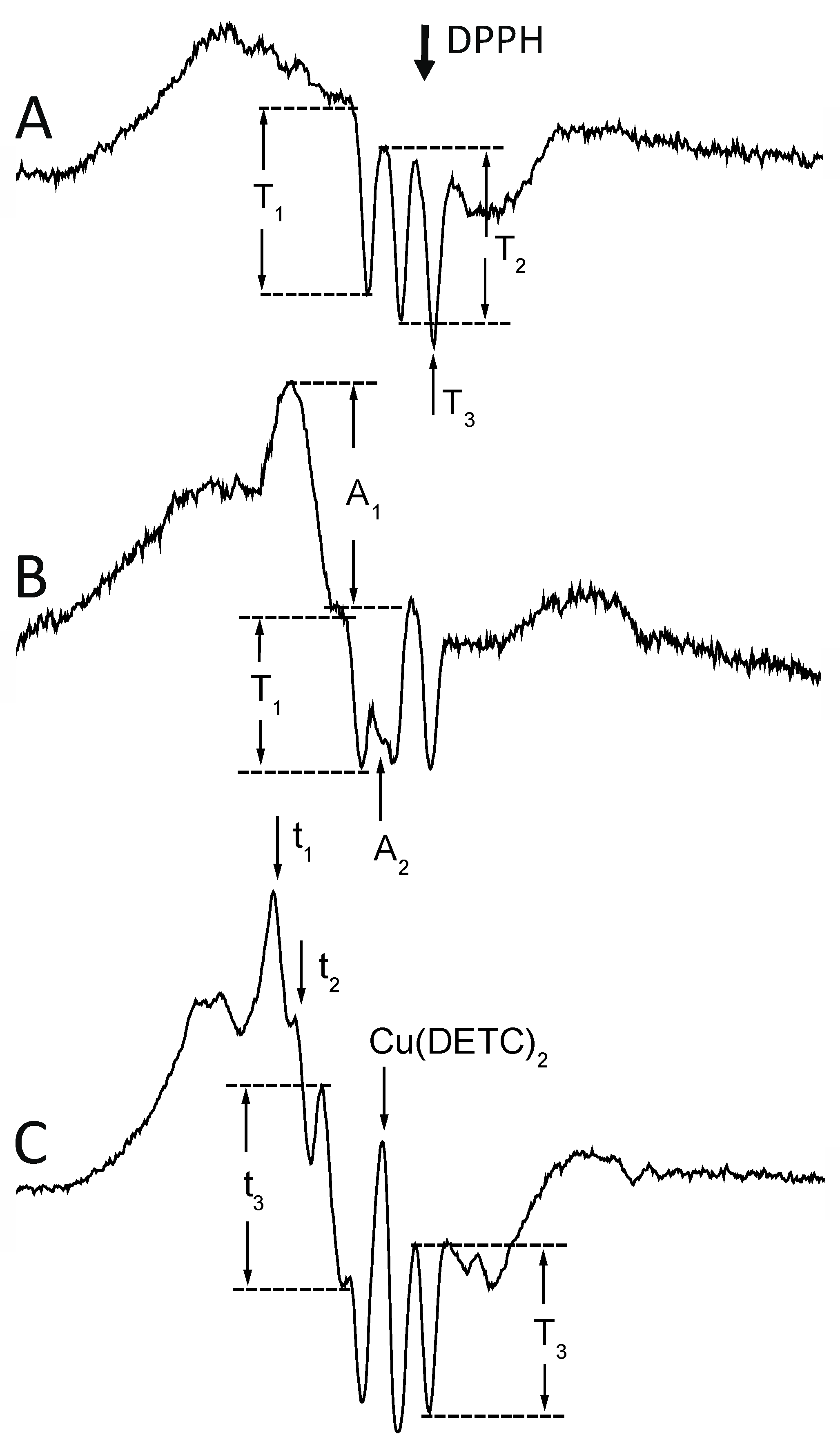 Ijms 25 04172 g007 Ijms 25 04172 g007