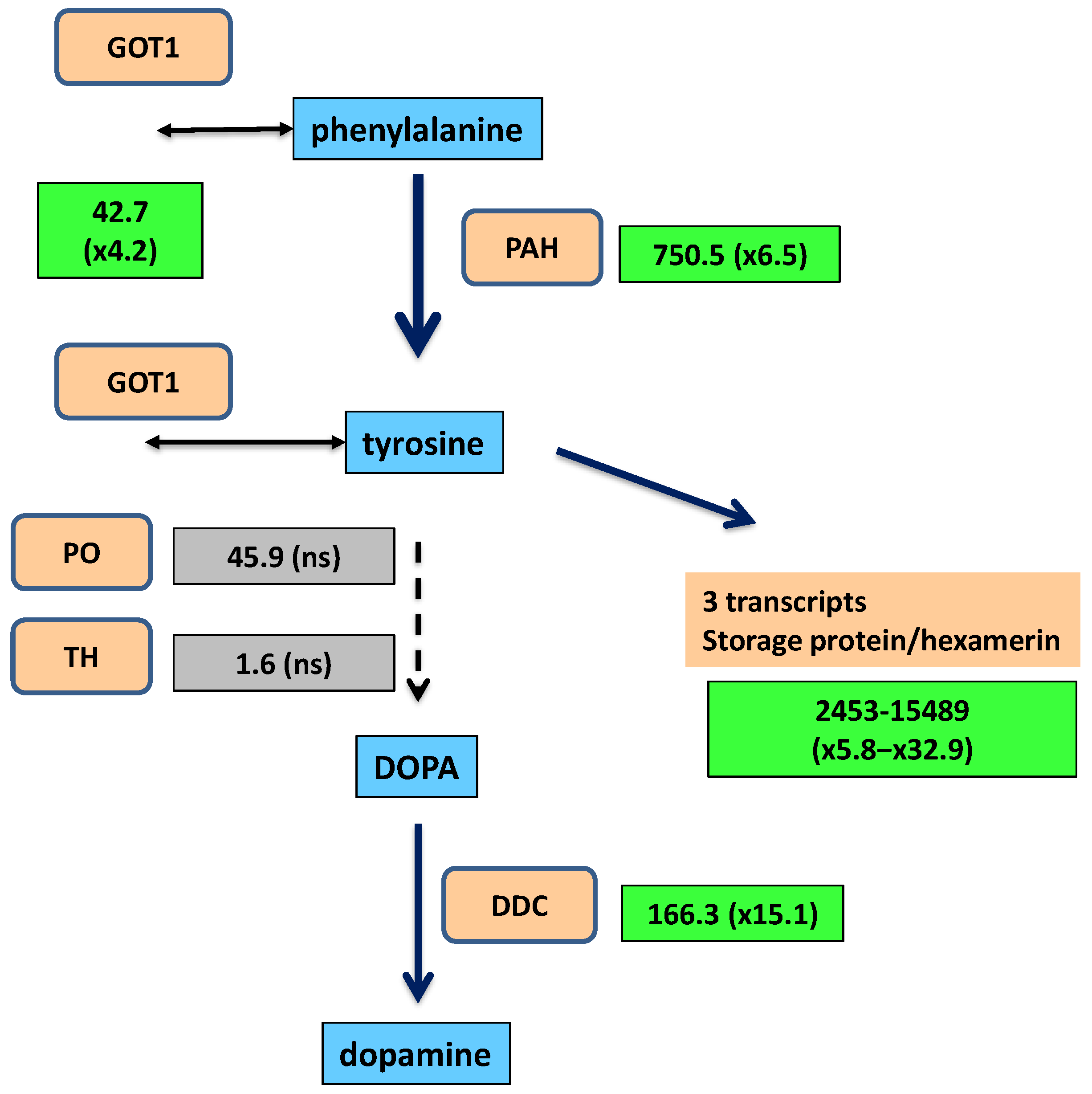 Ijms 25 04228 g003 Ijms 25 04228 g003