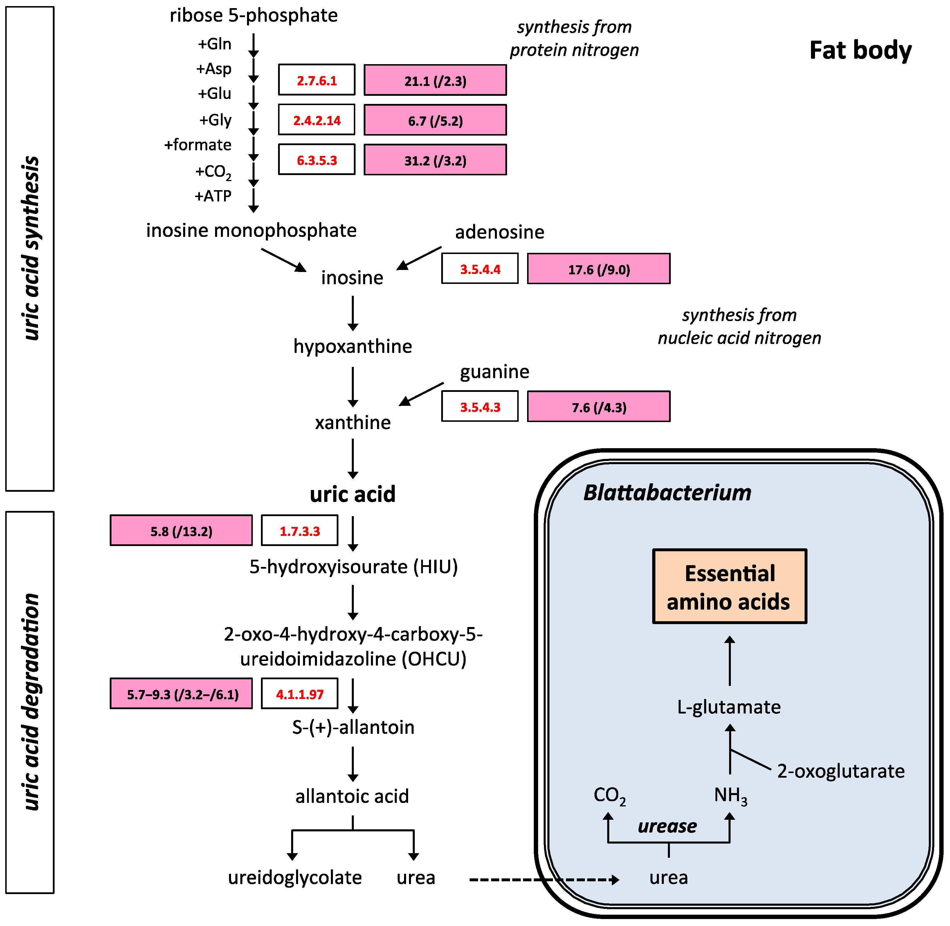 Ijms 25 04228 g005 Ijms 25 04228 g005
