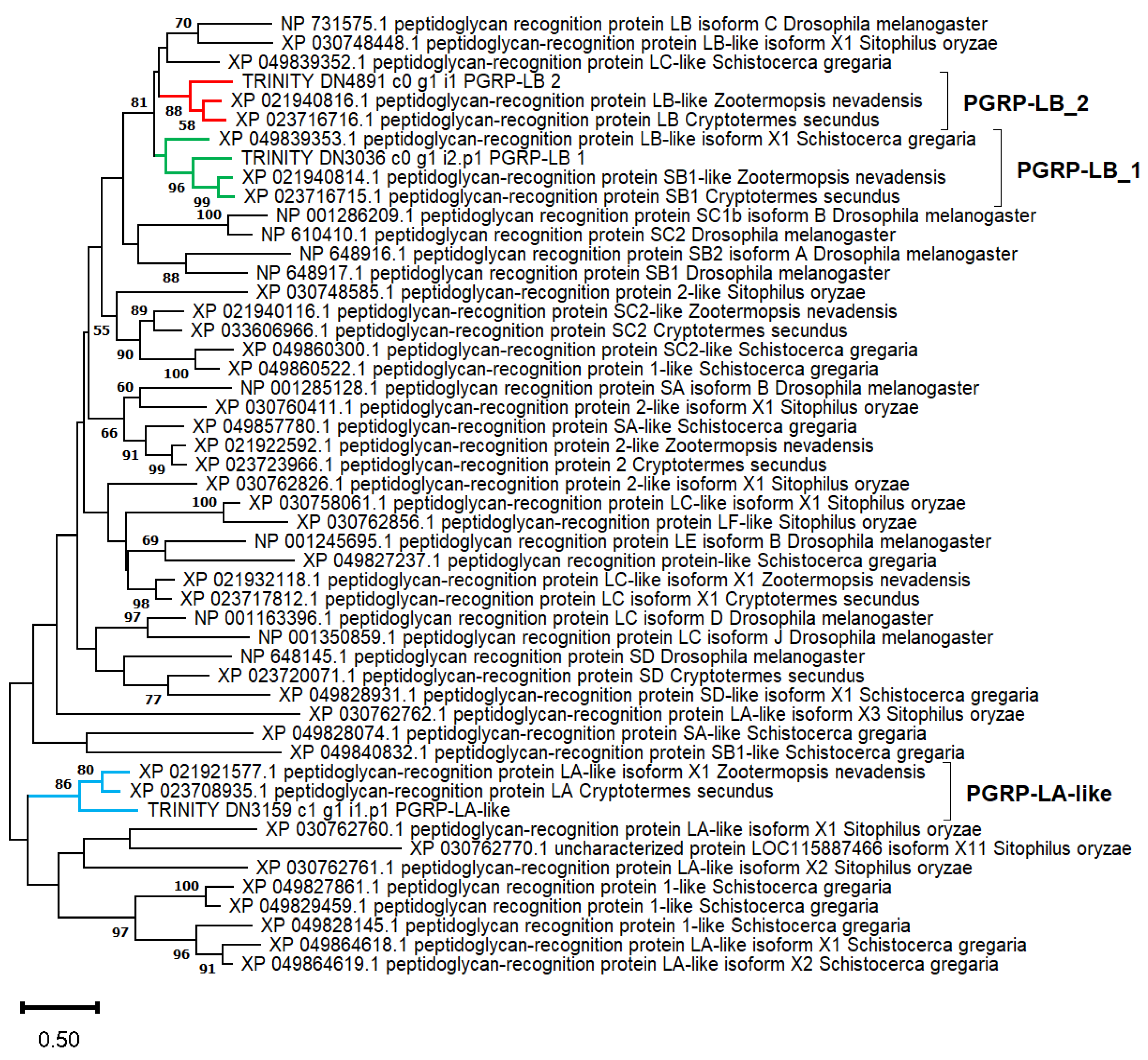 Ijms 25 04228 g006 Ijms 25 04228 g006
