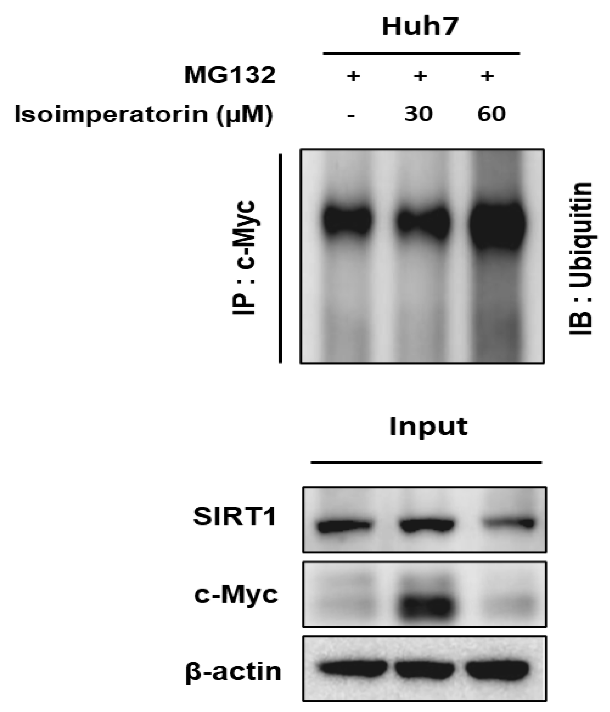 Ijms 25 04248 g006 Ijms 25 04248 g006