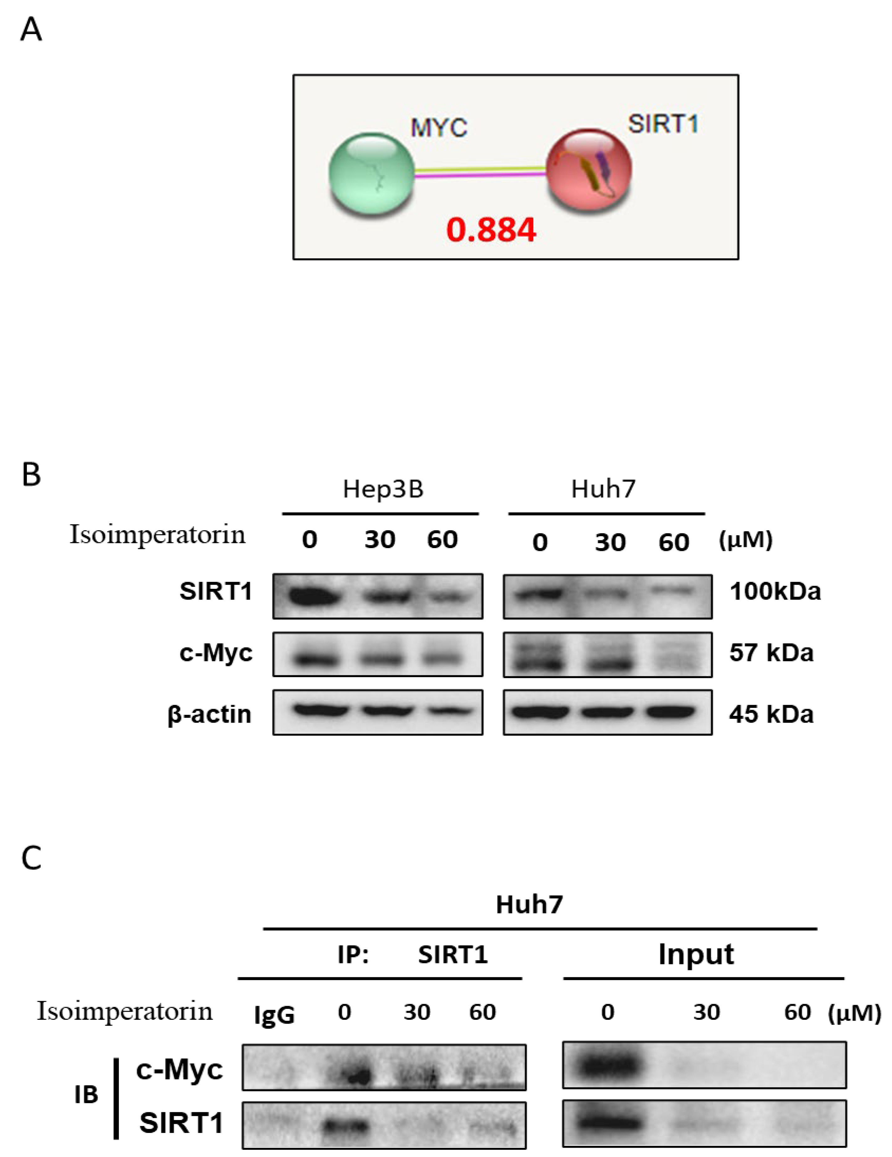 Ijms 25 04248 g007 Ijms 25 04248 g007