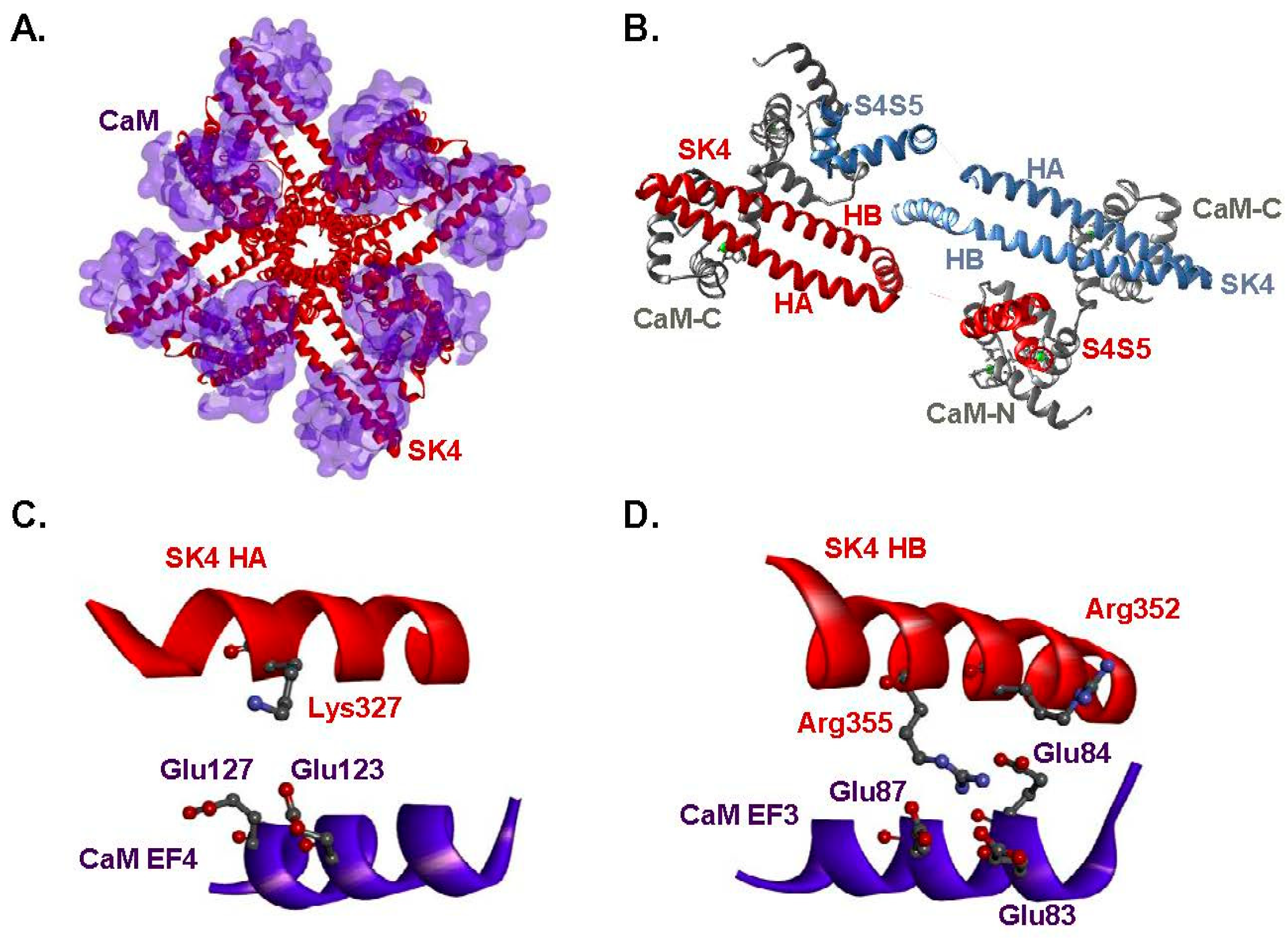 Ijms 25 04255 g001 Ijms 25 04255 g001