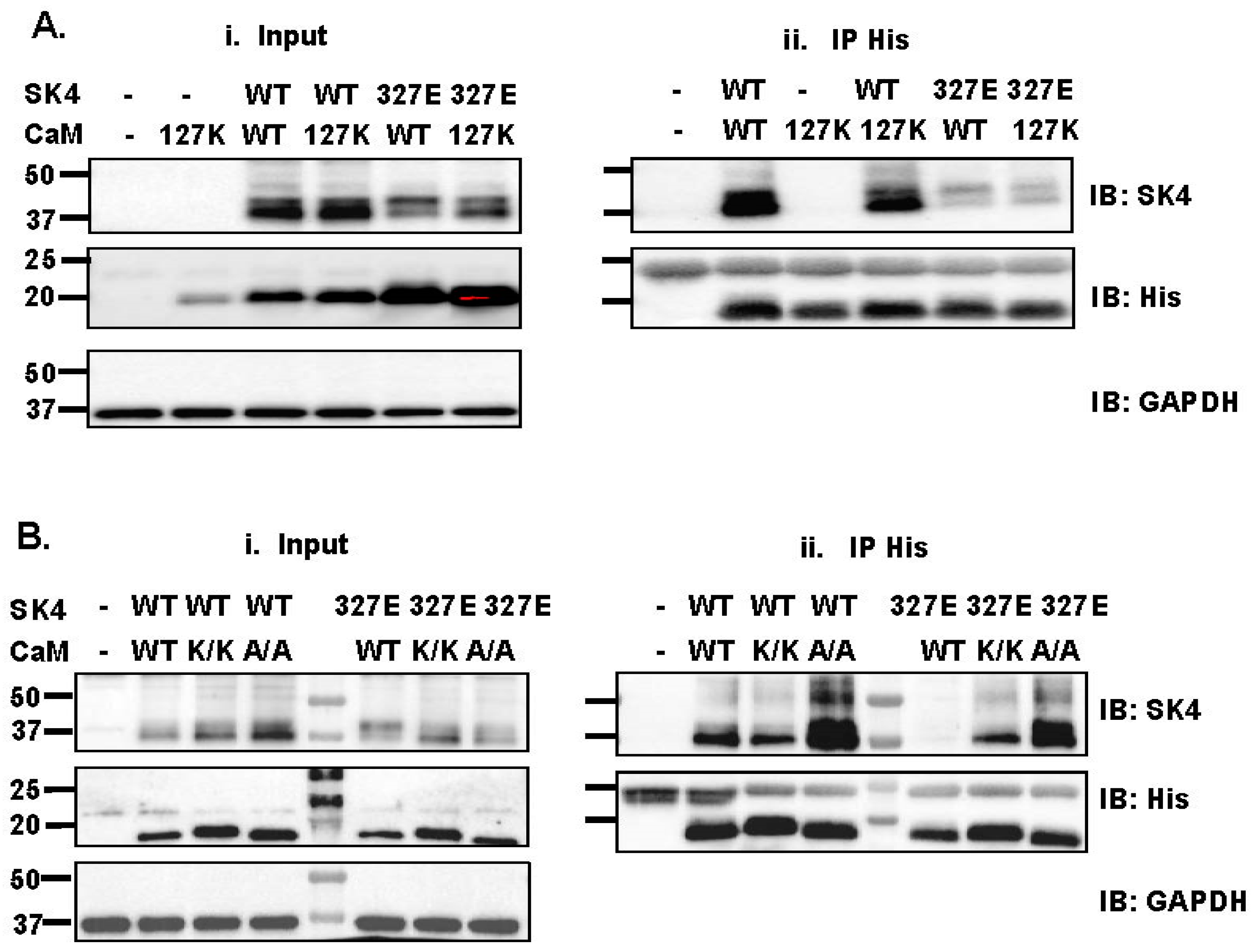 Ijms 25 04255 g003 Ijms 25 04255 g003