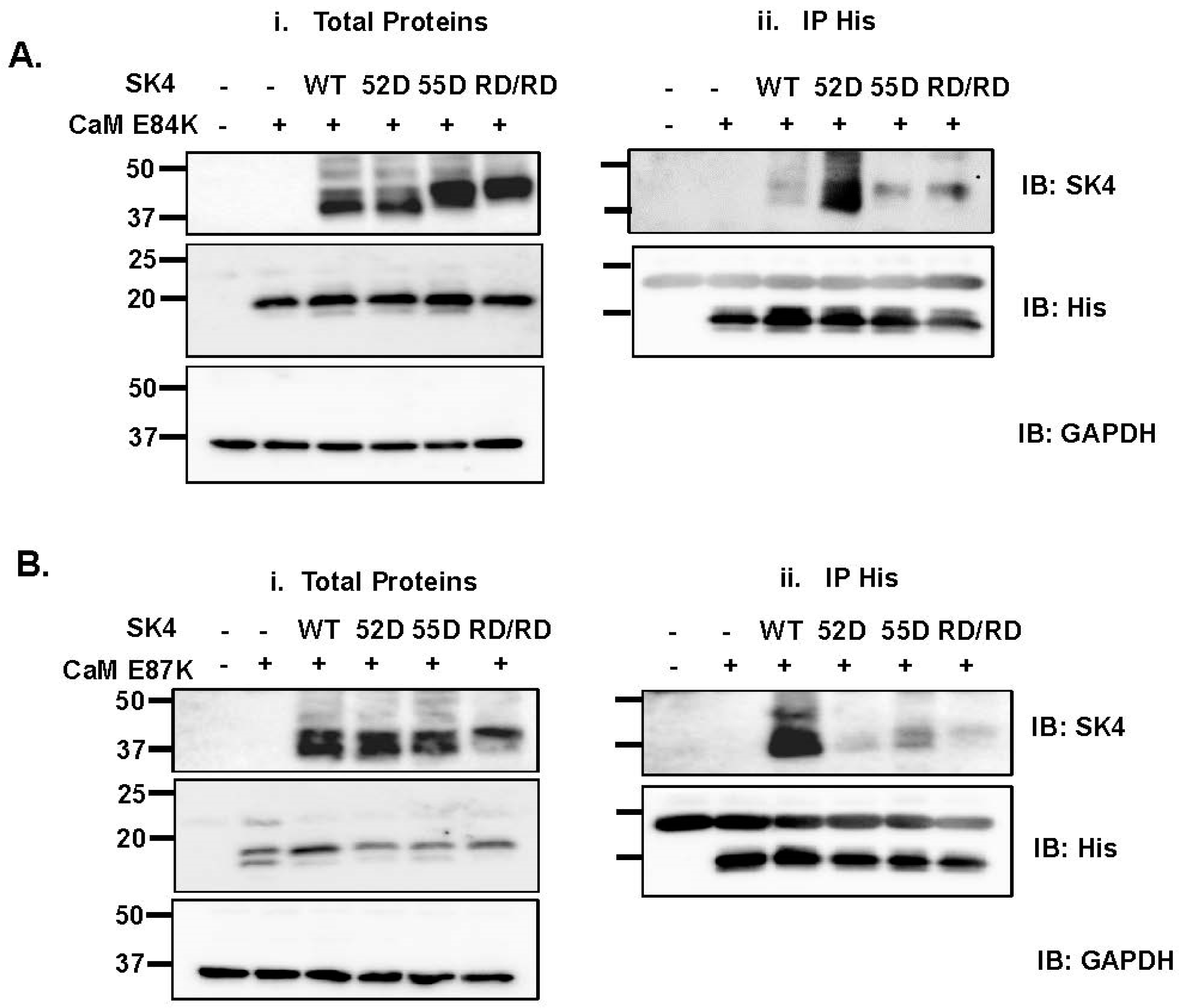 Ijms 25 04255 g006 Ijms 25 04255 g006