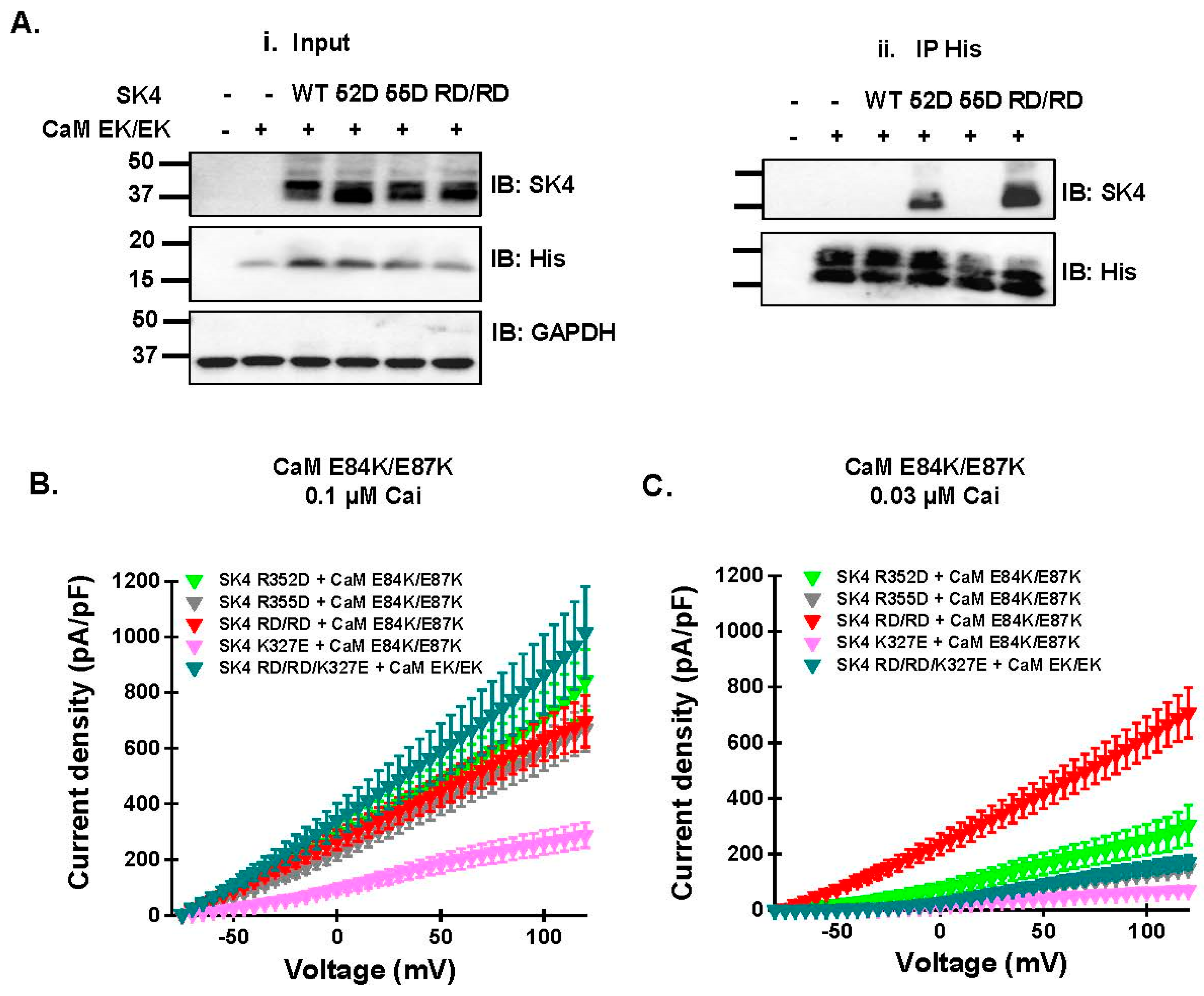 Ijms 25 04255 g007 Ijms 25 04255 g007