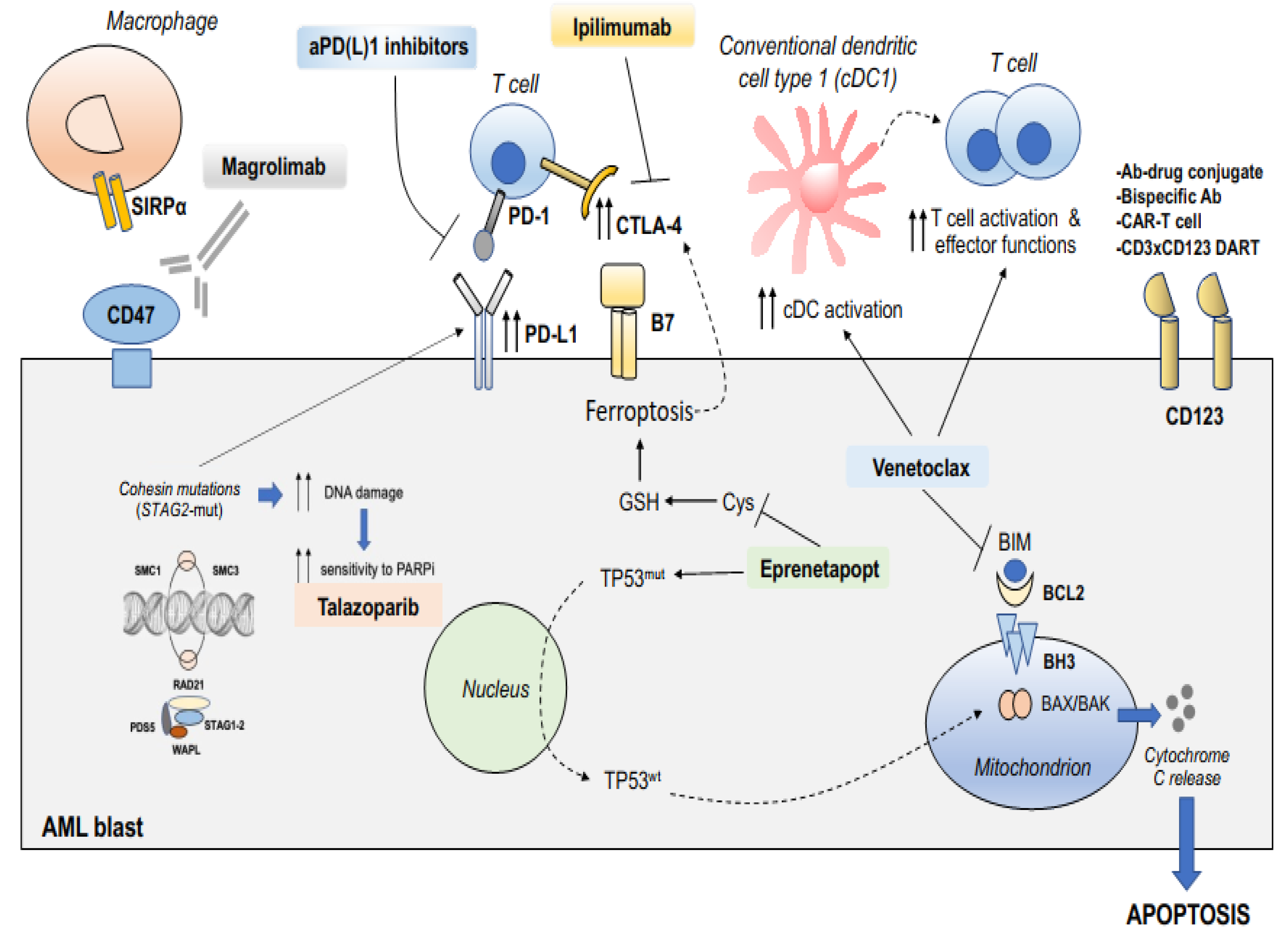 Ijms 25 04259 g001 Ijms 25 04259 g001