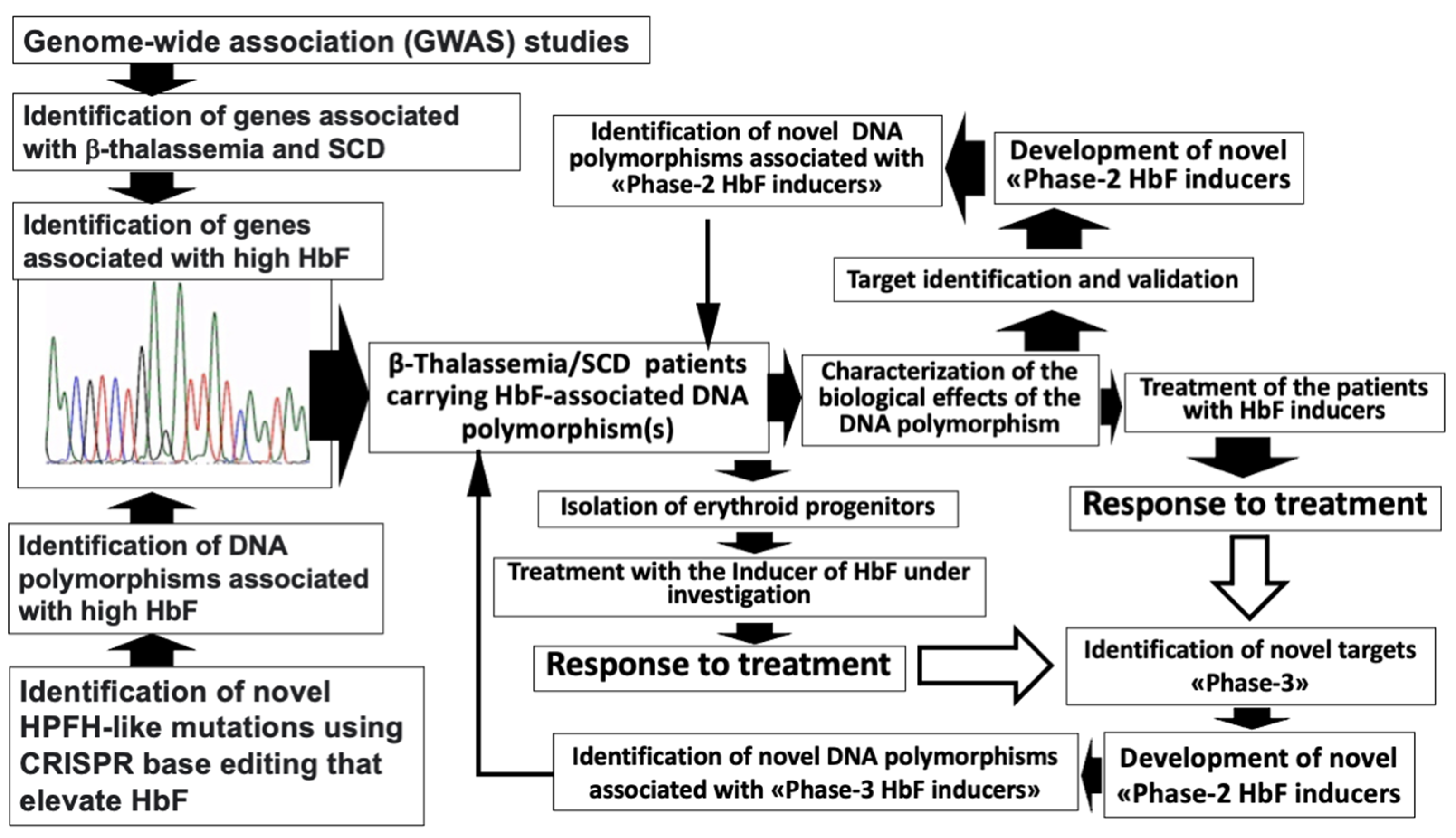 Ijms 25 04263 g004 Ijms 25 04263 g004