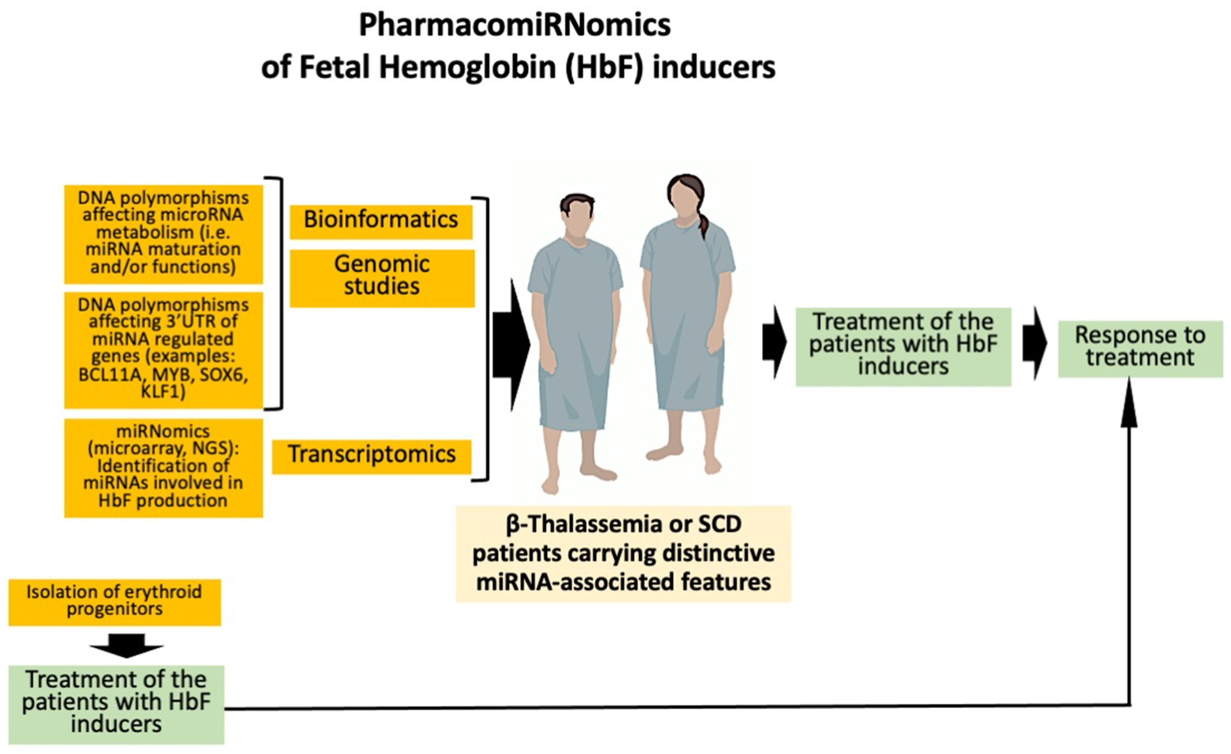 Ijms 25 04263 g005 Ijms 25 04263 g005