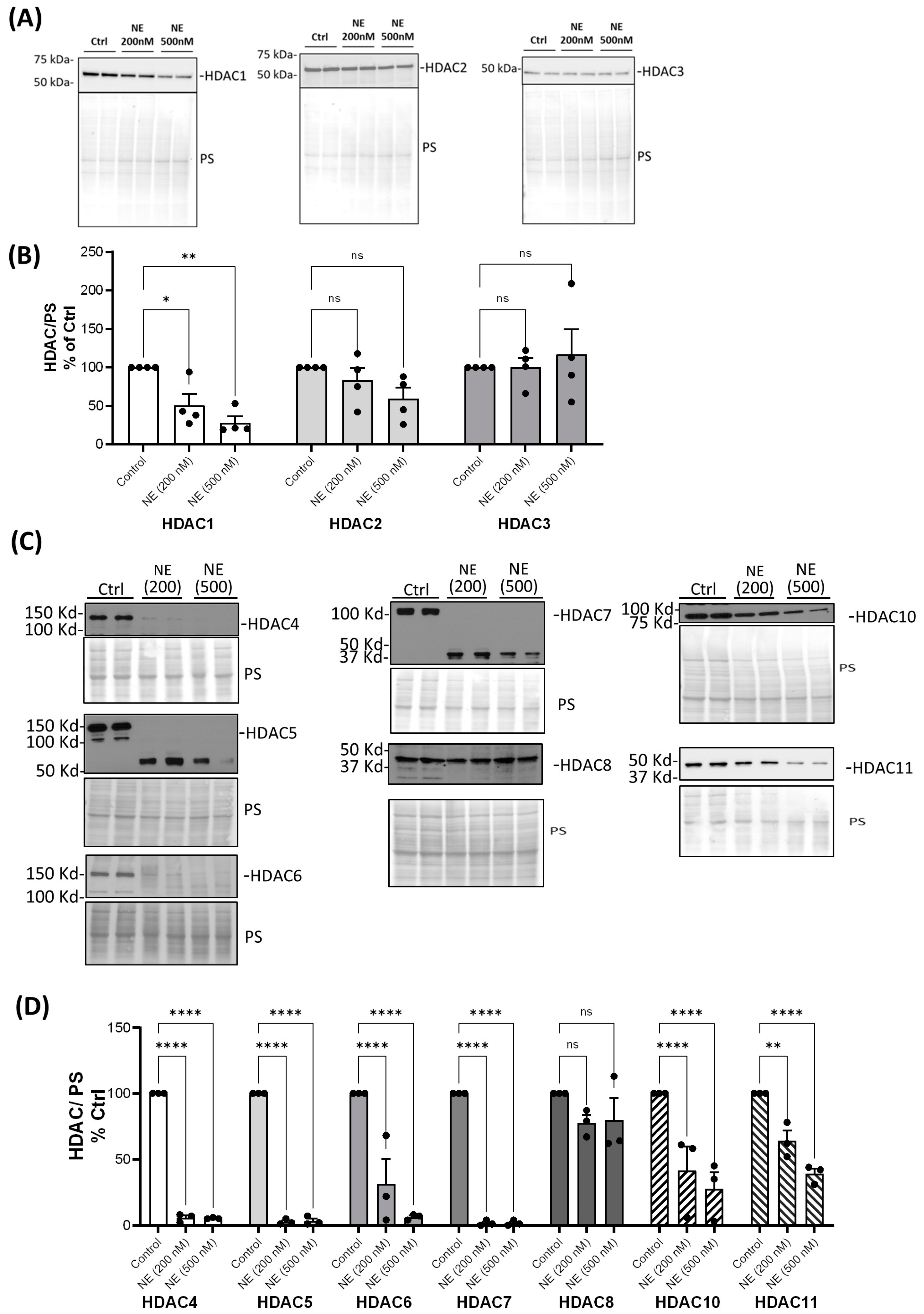 Ijms 25 04265 g001 Ijms 25 04265 g001