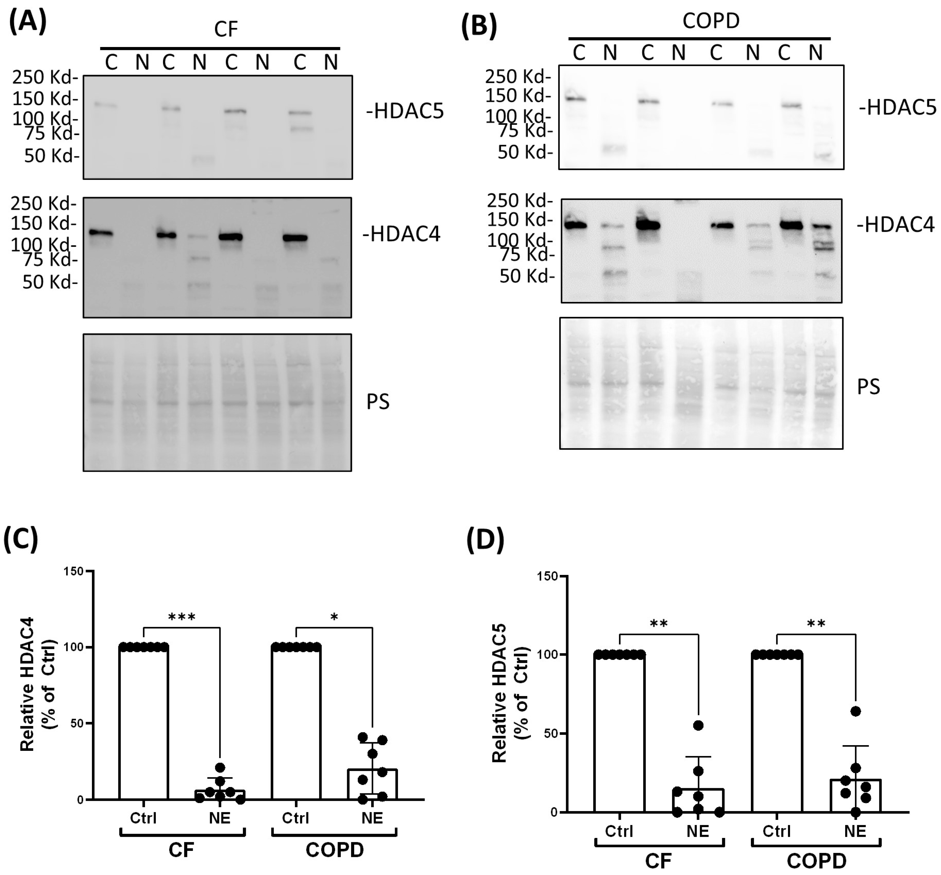 Ijms 25 04265 g002 Ijms 25 04265 g002