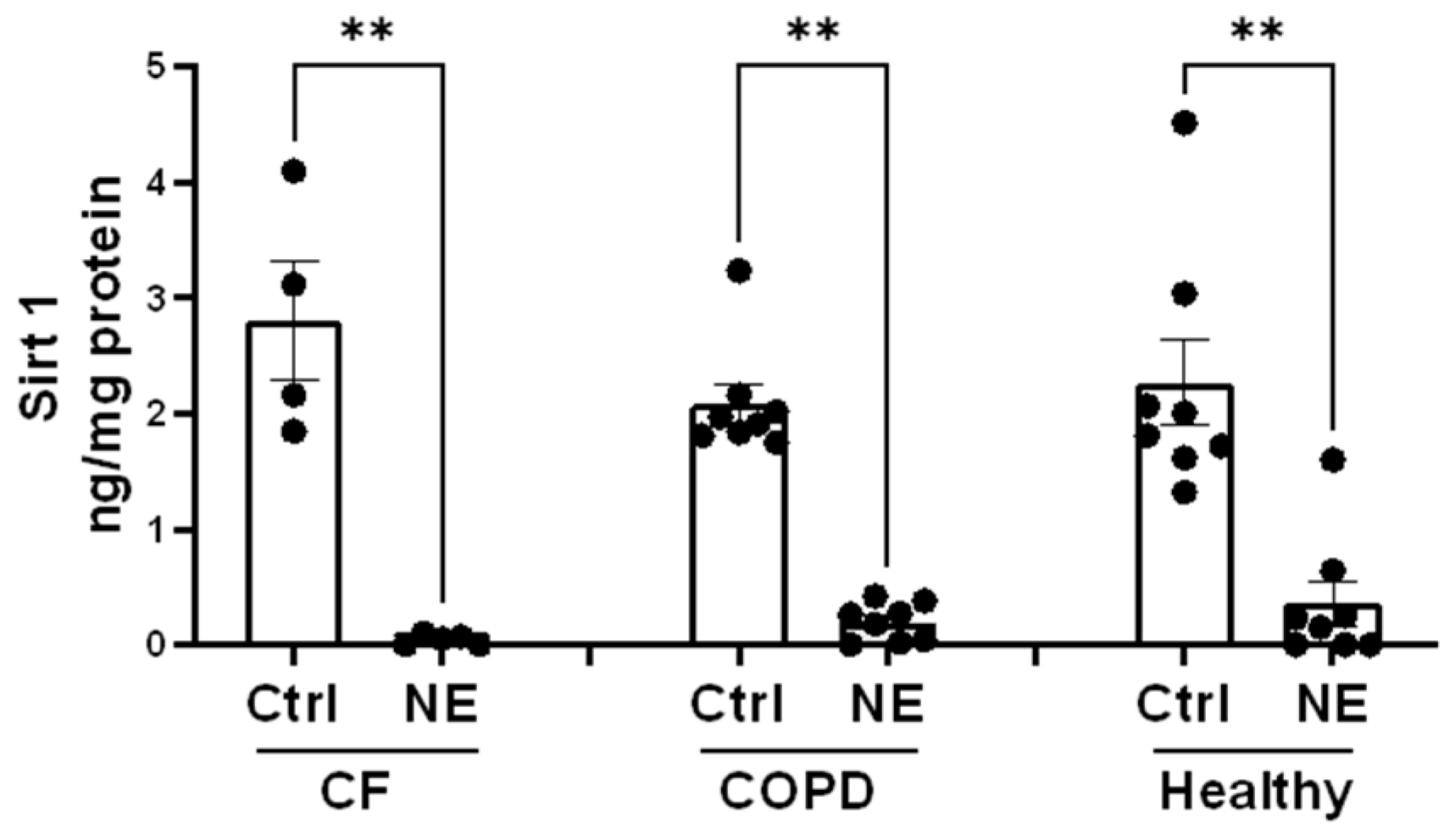 Ijms 25 04265 g004 Ijms 25 04265 g004