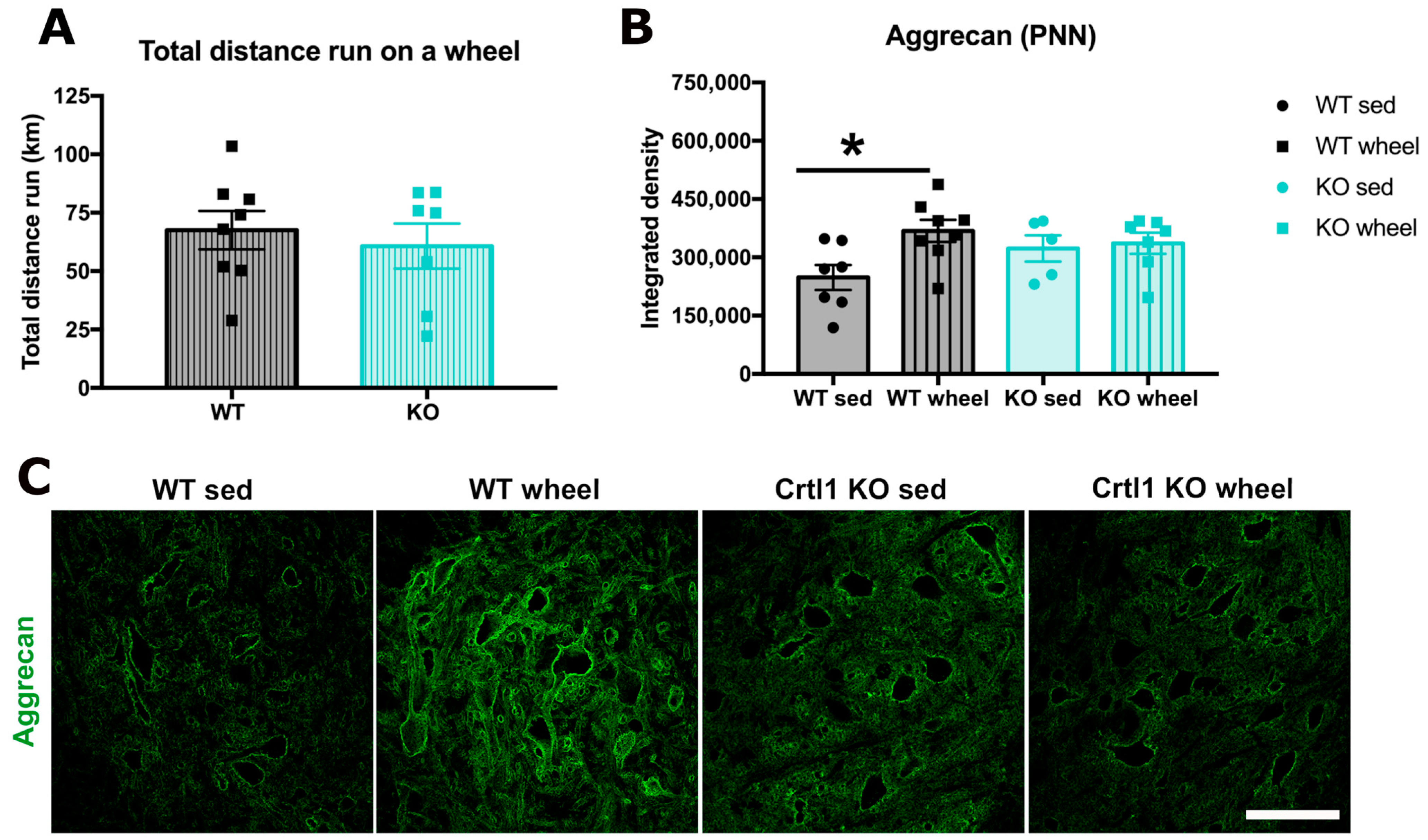 Ijms 25 04267 g002 Ijms 25 04267 g002