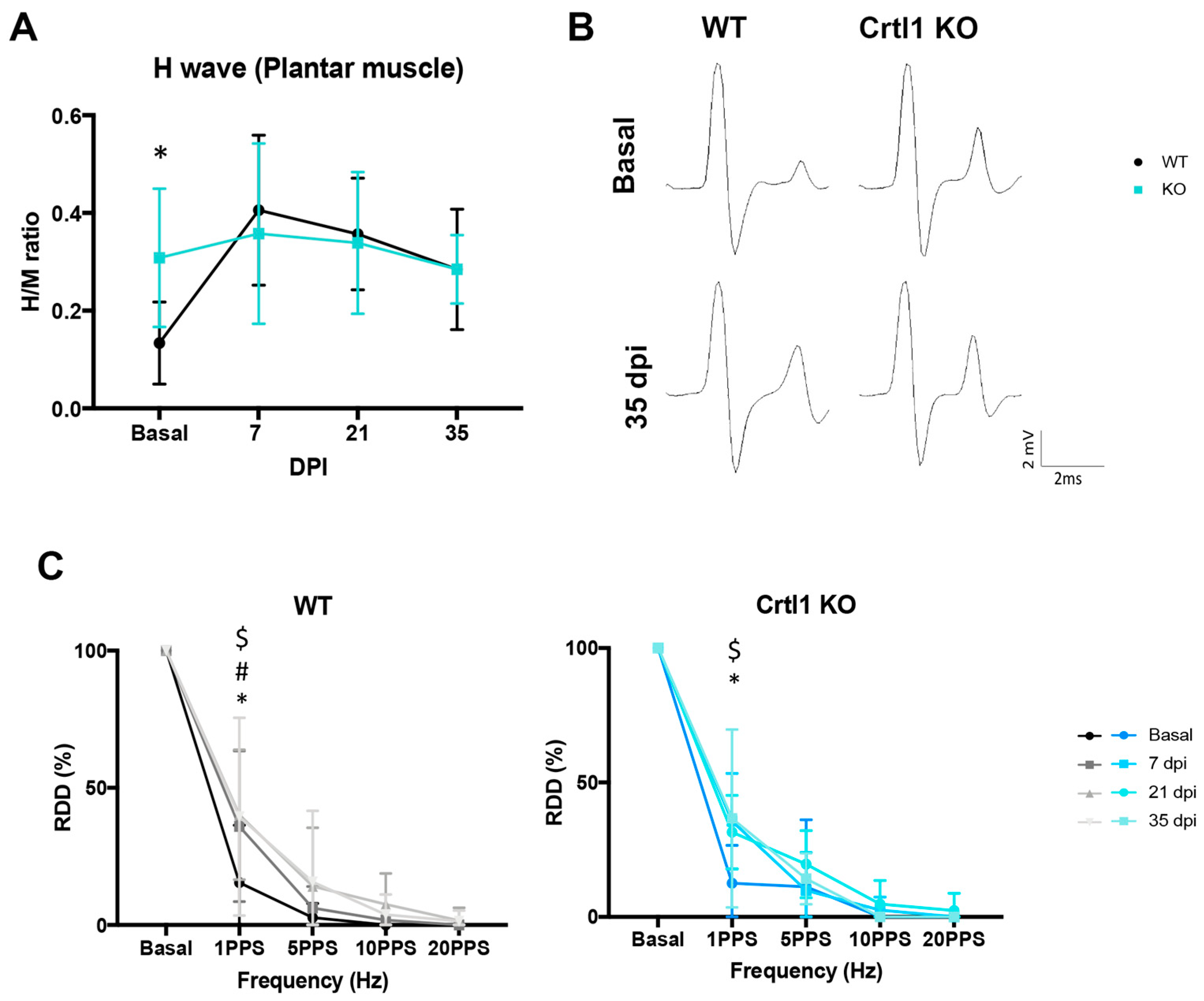 Ijms 25 04267 g004 Ijms 25 04267 g004