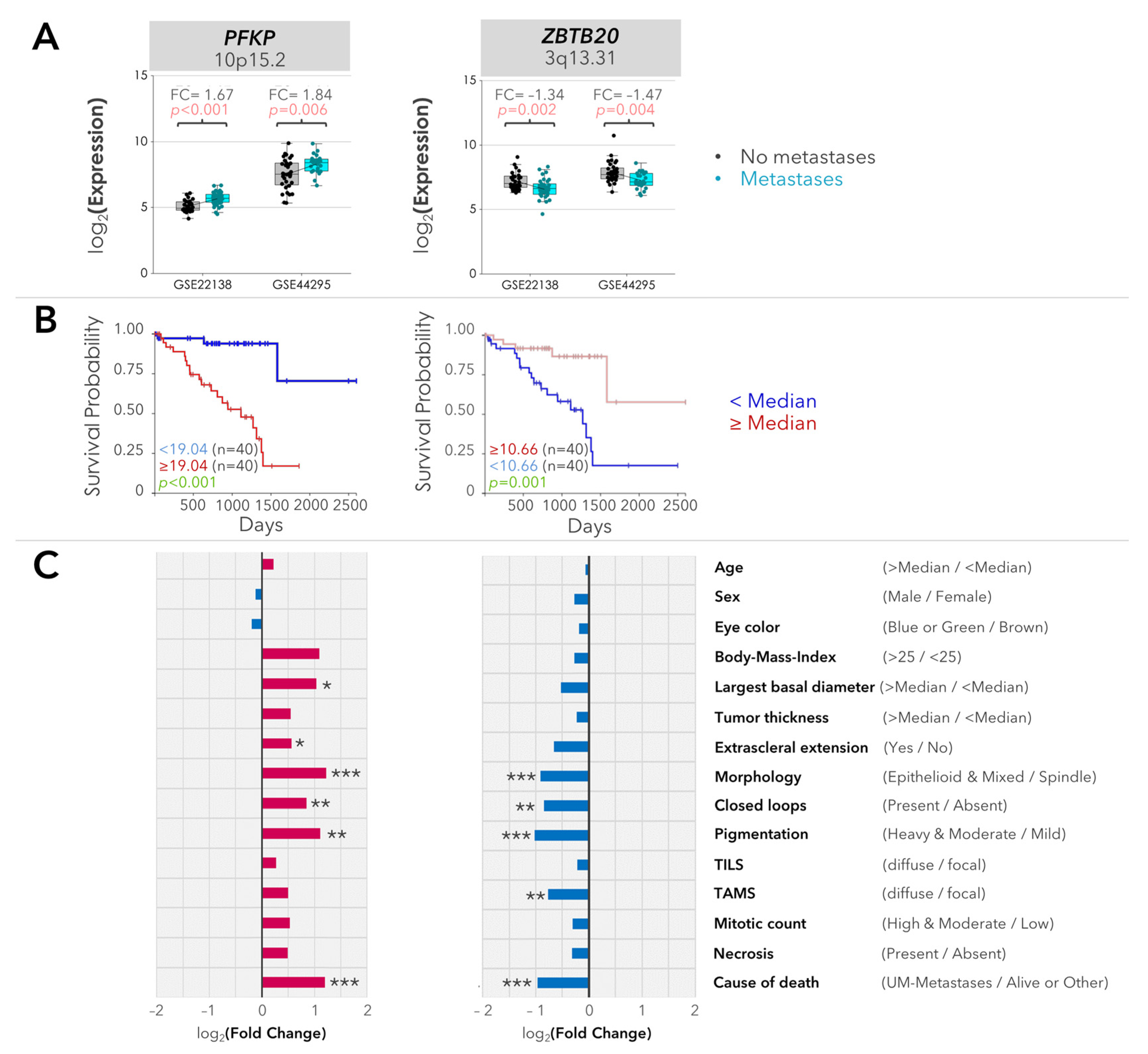Ijms 25 04292 g002 Ijms 25 04292 g002