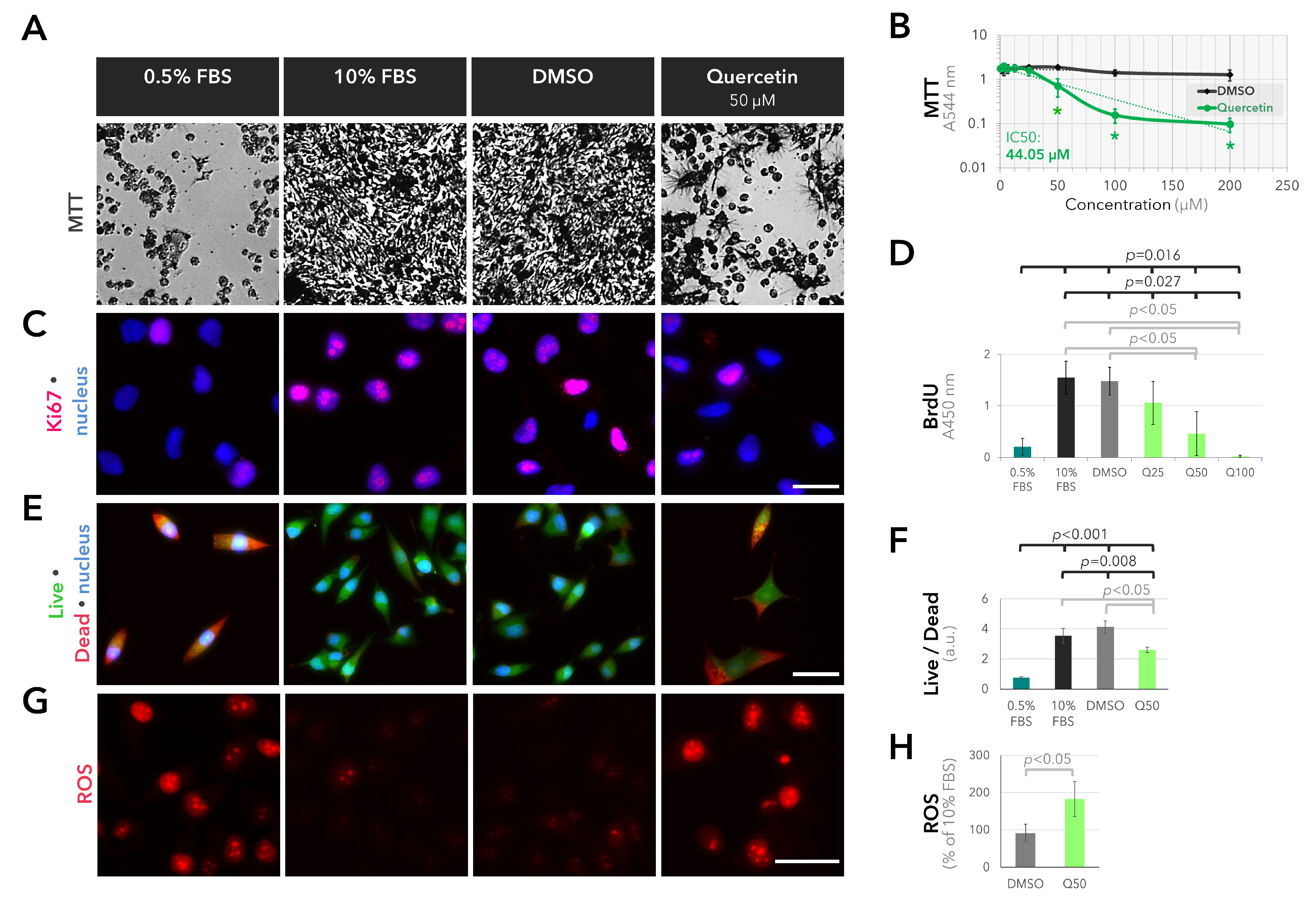 Ijms 25 04292 g003 Ijms 25 04292 g003