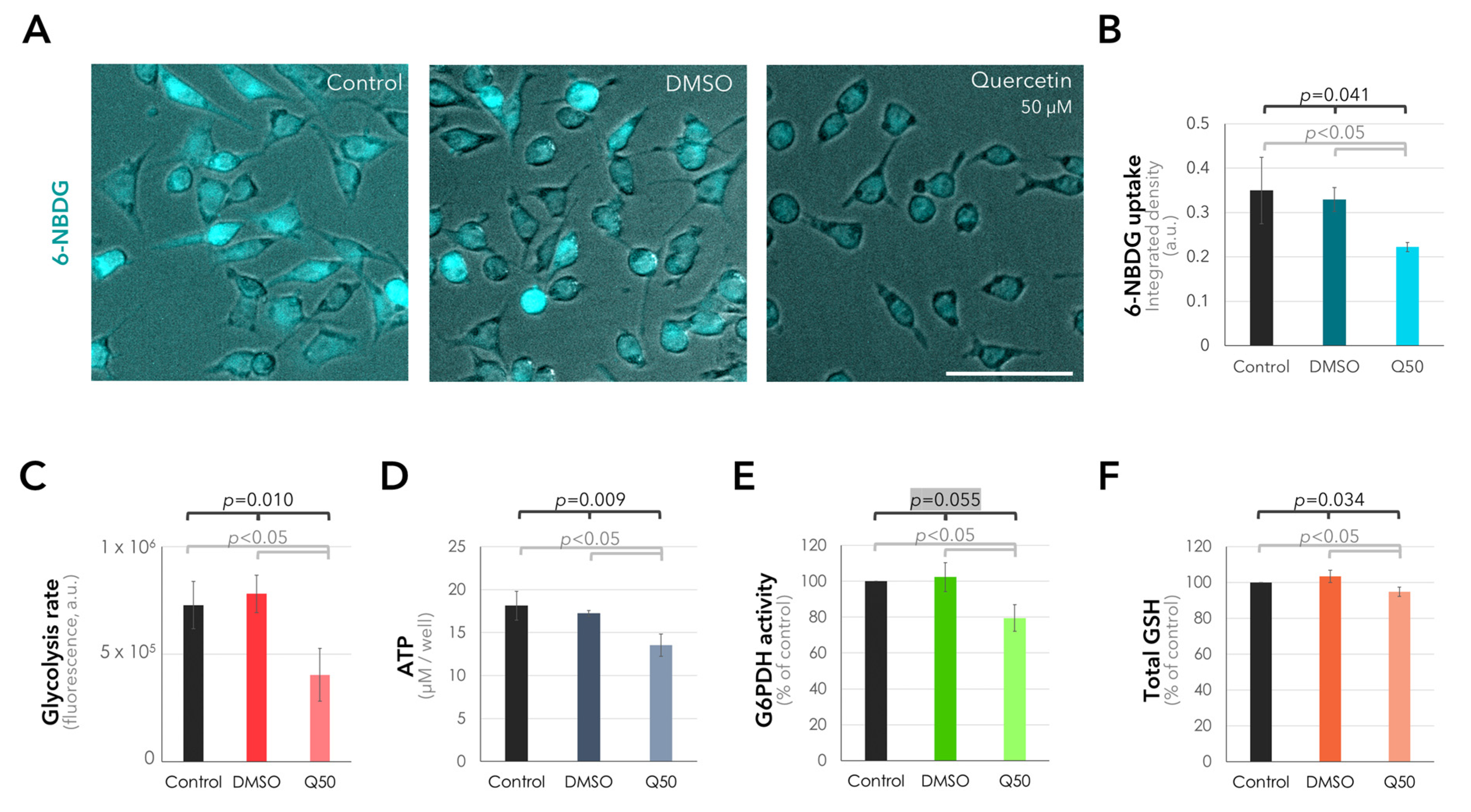 Ijms 25 04292 g004 Ijms 25 04292 g004