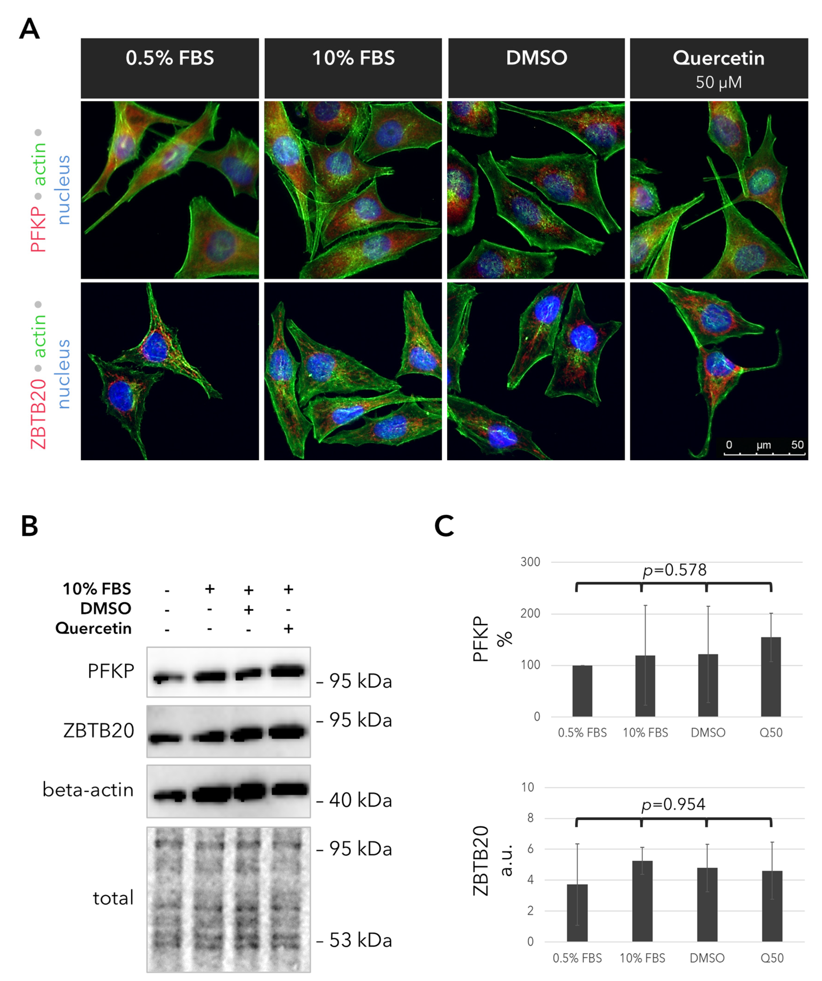 Ijms 25 04292 g005 Ijms 25 04292 g005