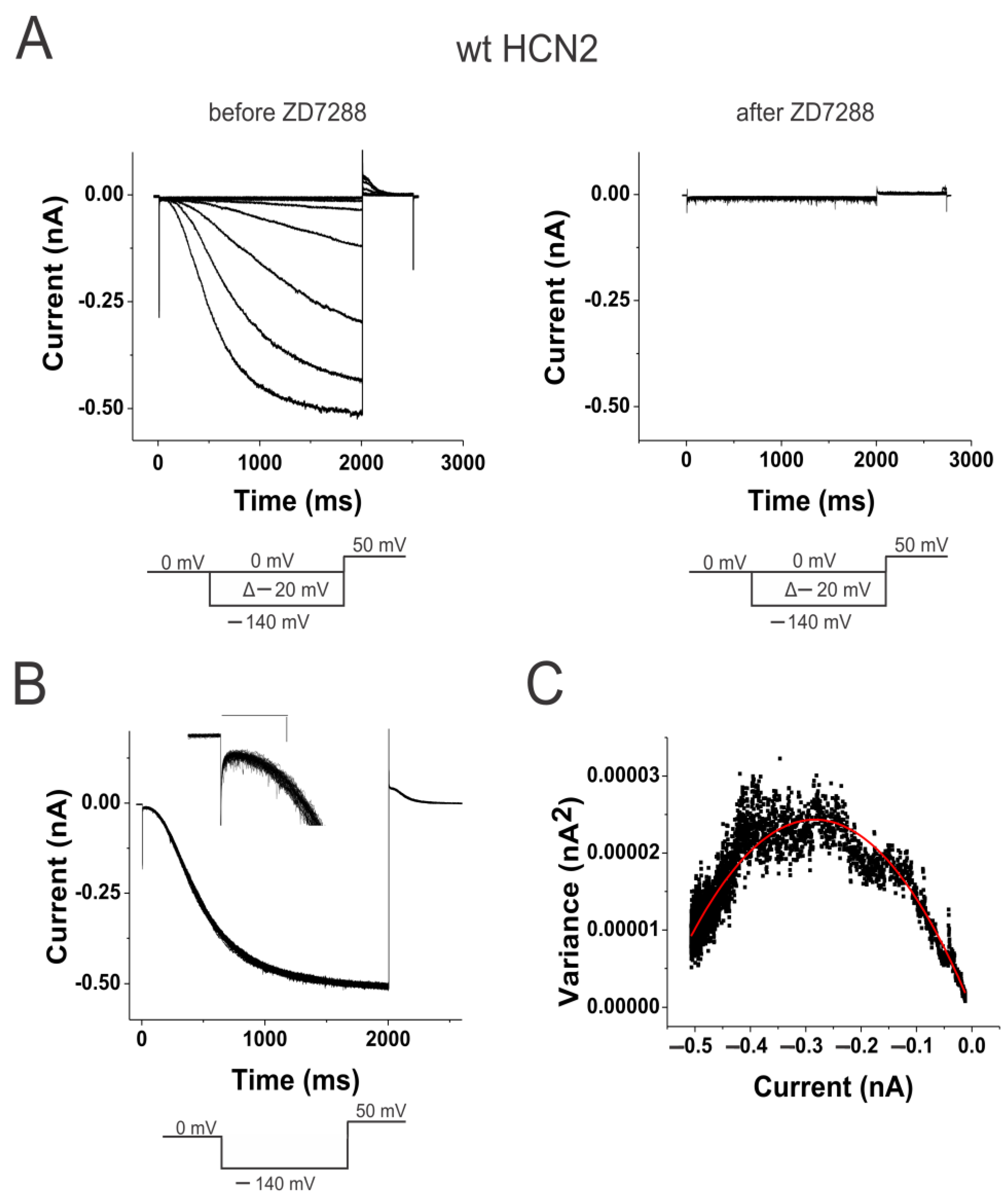 Ijms 25 04309 g001 Ijms 25 04309 g001