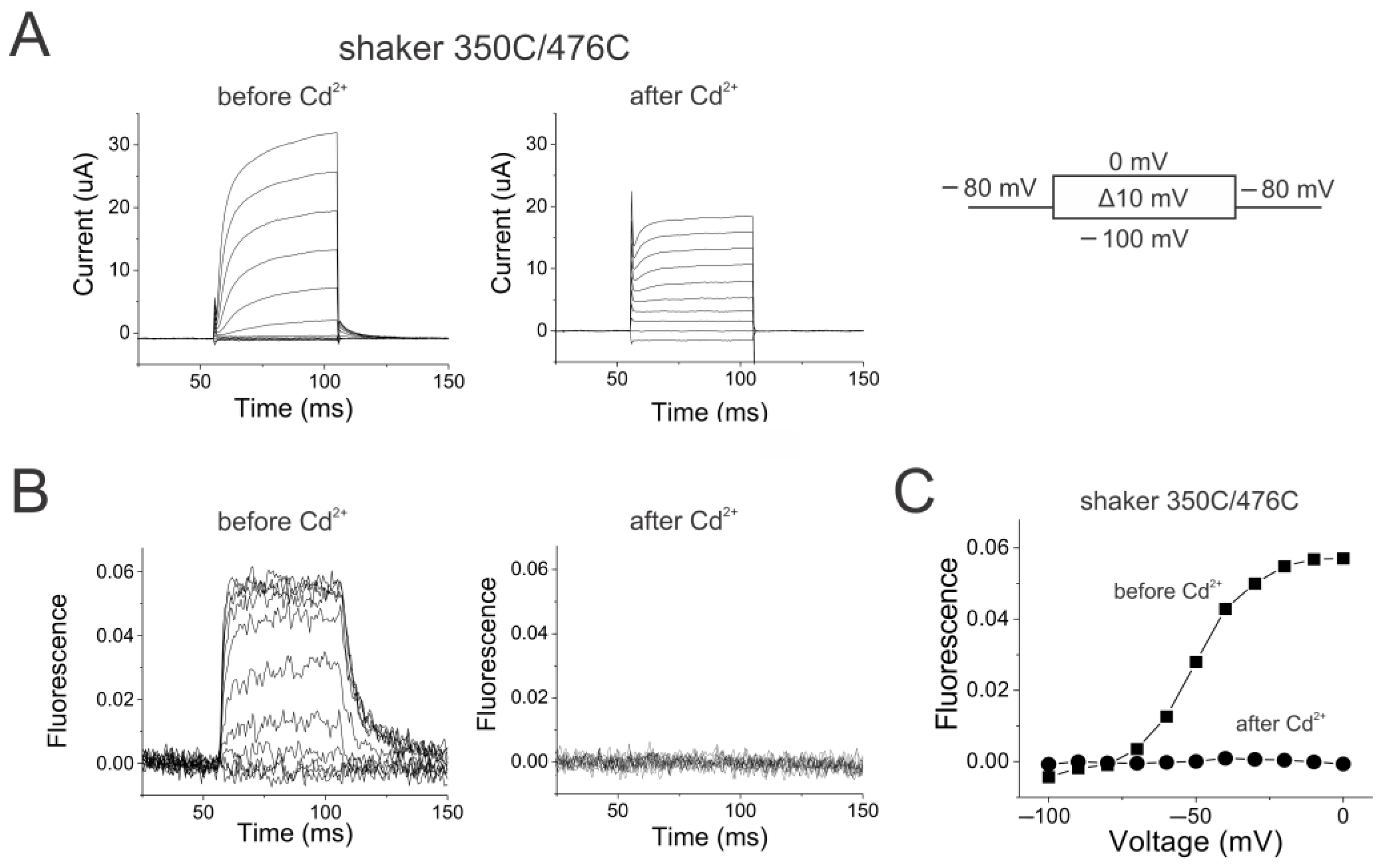 Ijms 25 04309 g003 Ijms 25 04309 g003