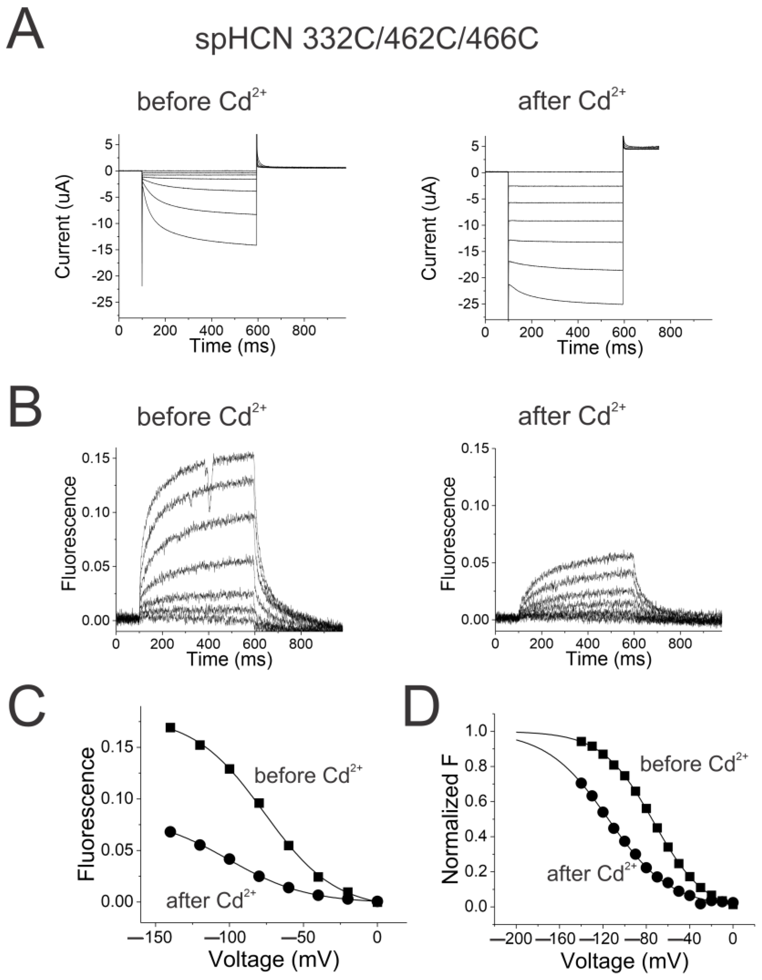 Ijms 25 04309 g004 Ijms 25 04309 g004