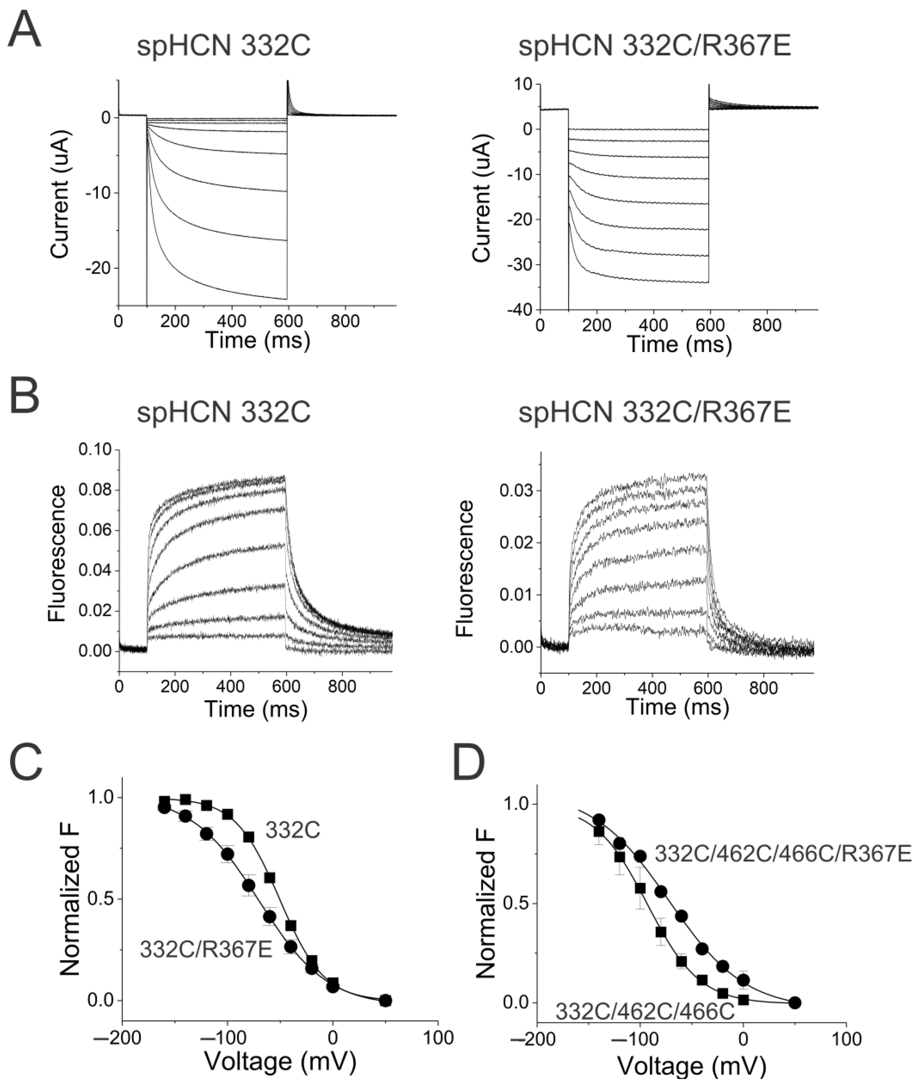 Ijms 25 04309 g005 Ijms 25 04309 g005