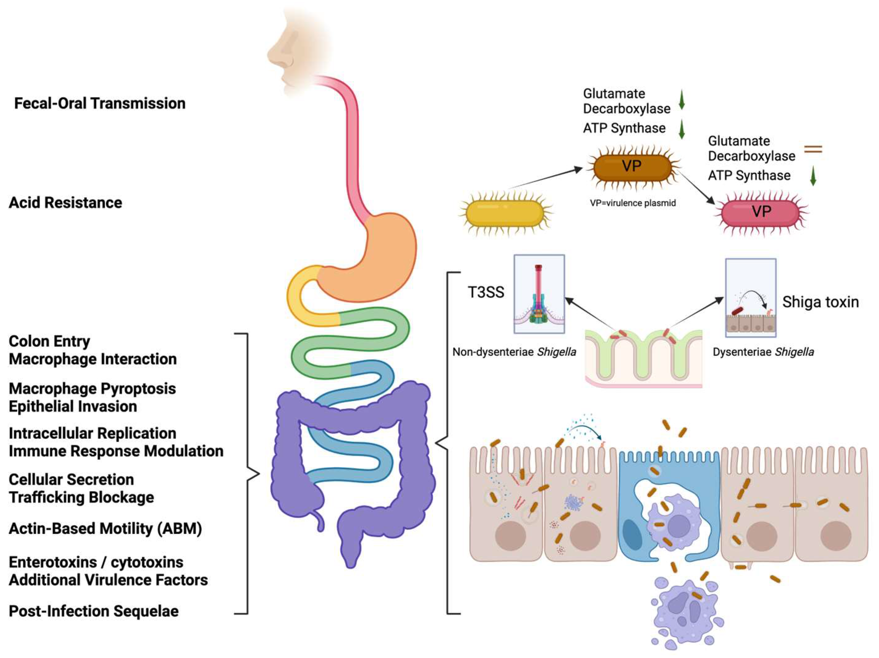 Ijms 25 04329 g002 Ijms 25 04329 g002