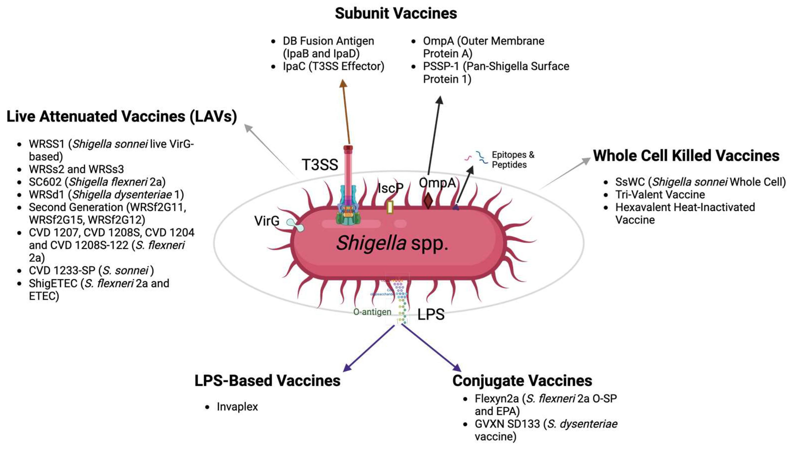 Ijms 25 04329 g003 Ijms 25 04329 g003