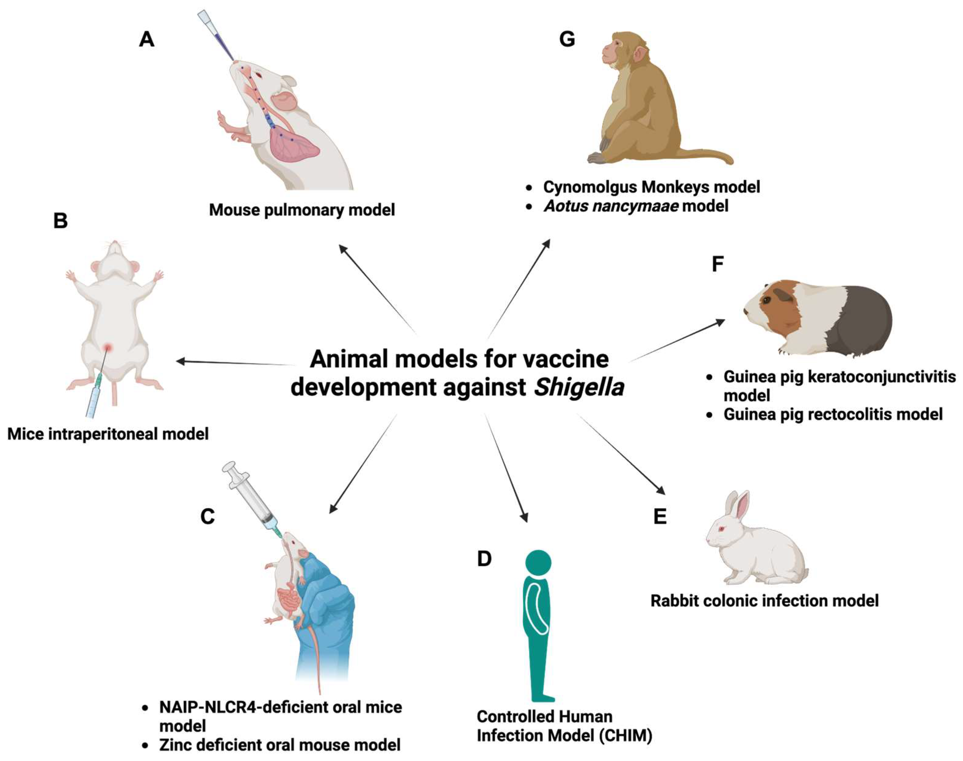 Ijms 25 04329 g004 Ijms 25 04329 g004