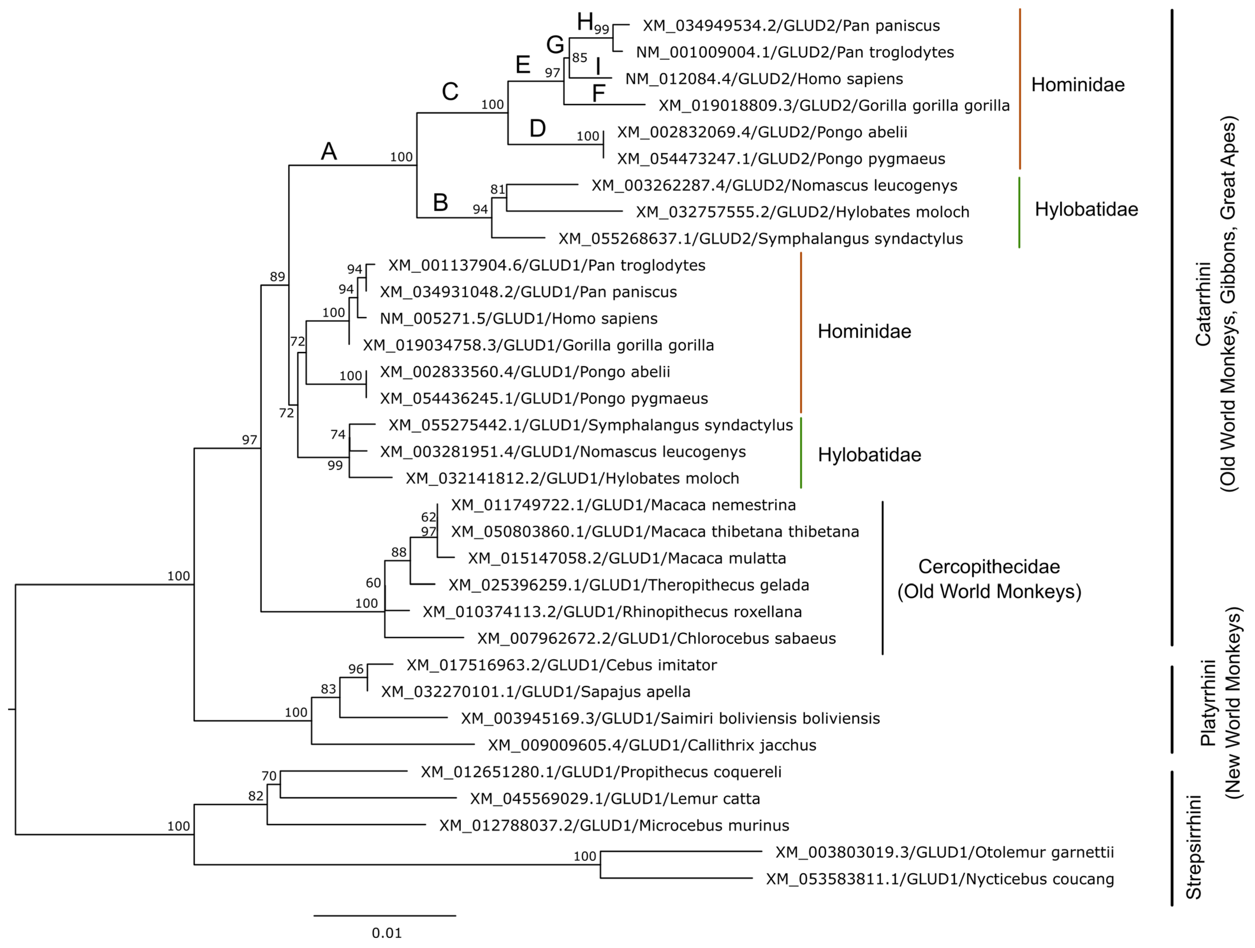 Ijms 25 04341 g002 Ijms 25 04341 g002
