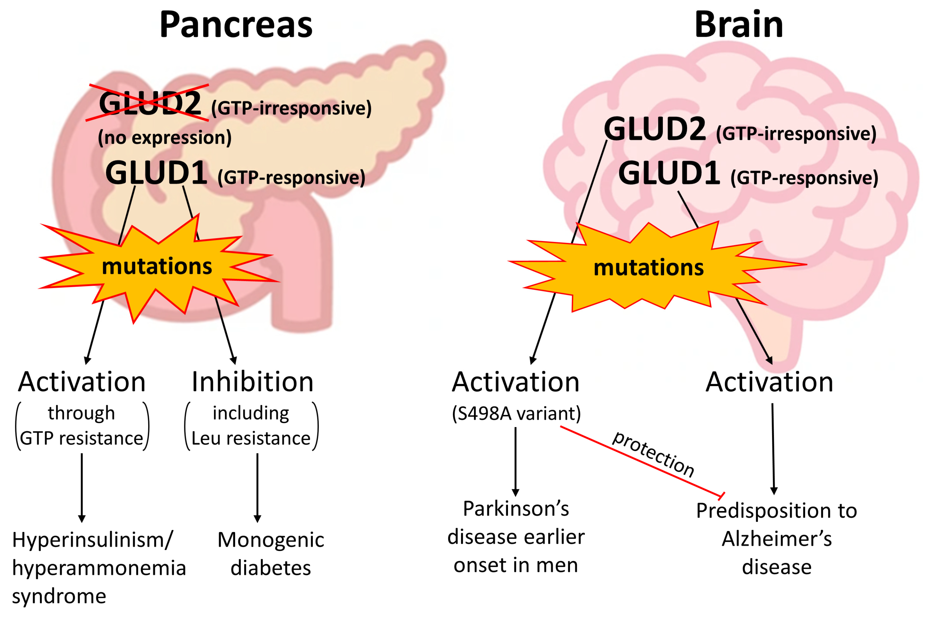 Ijms 25 04341 g004 Ijms 25 04341 g004