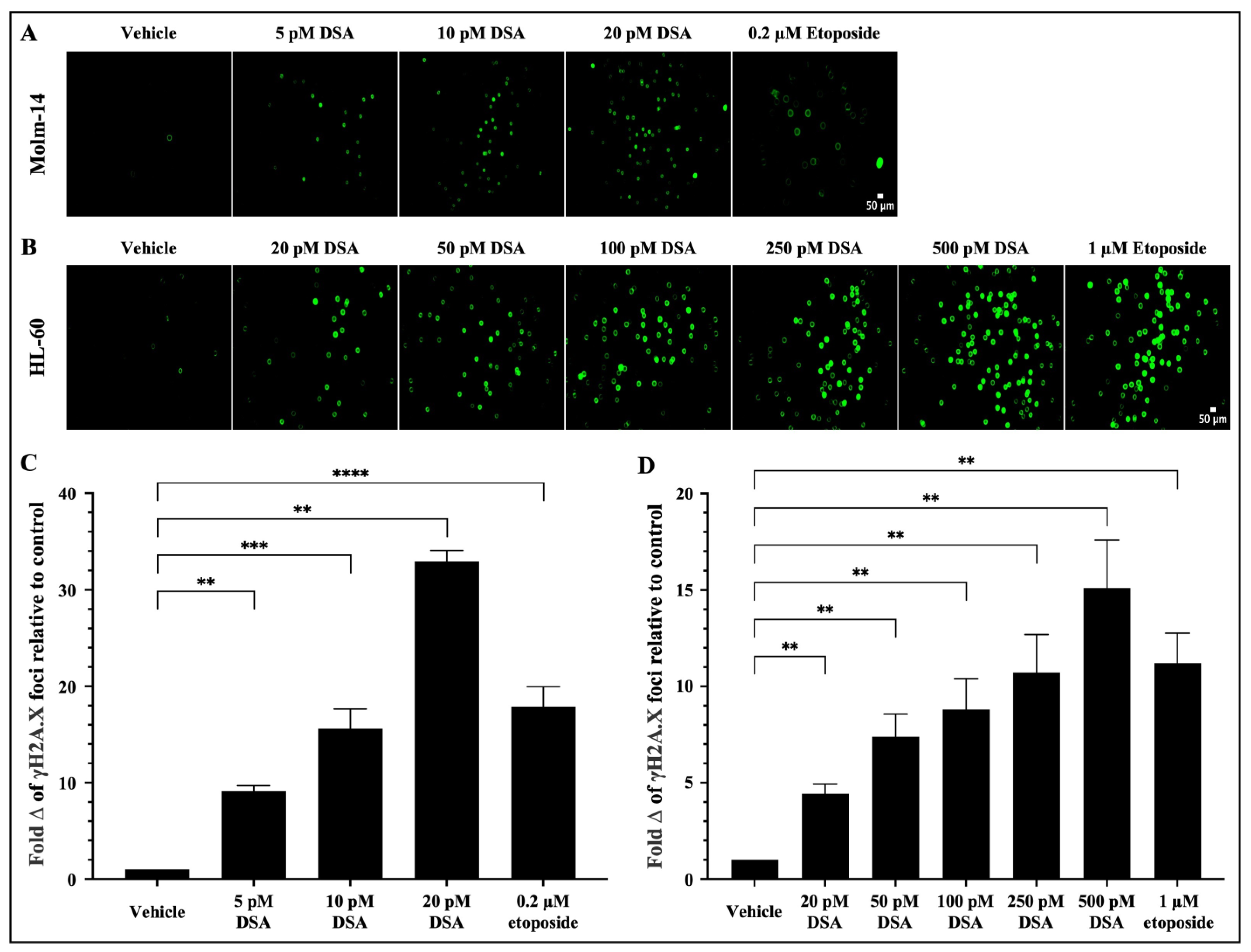 Ijms 25 04342 g003 Ijms 25 04342 g003