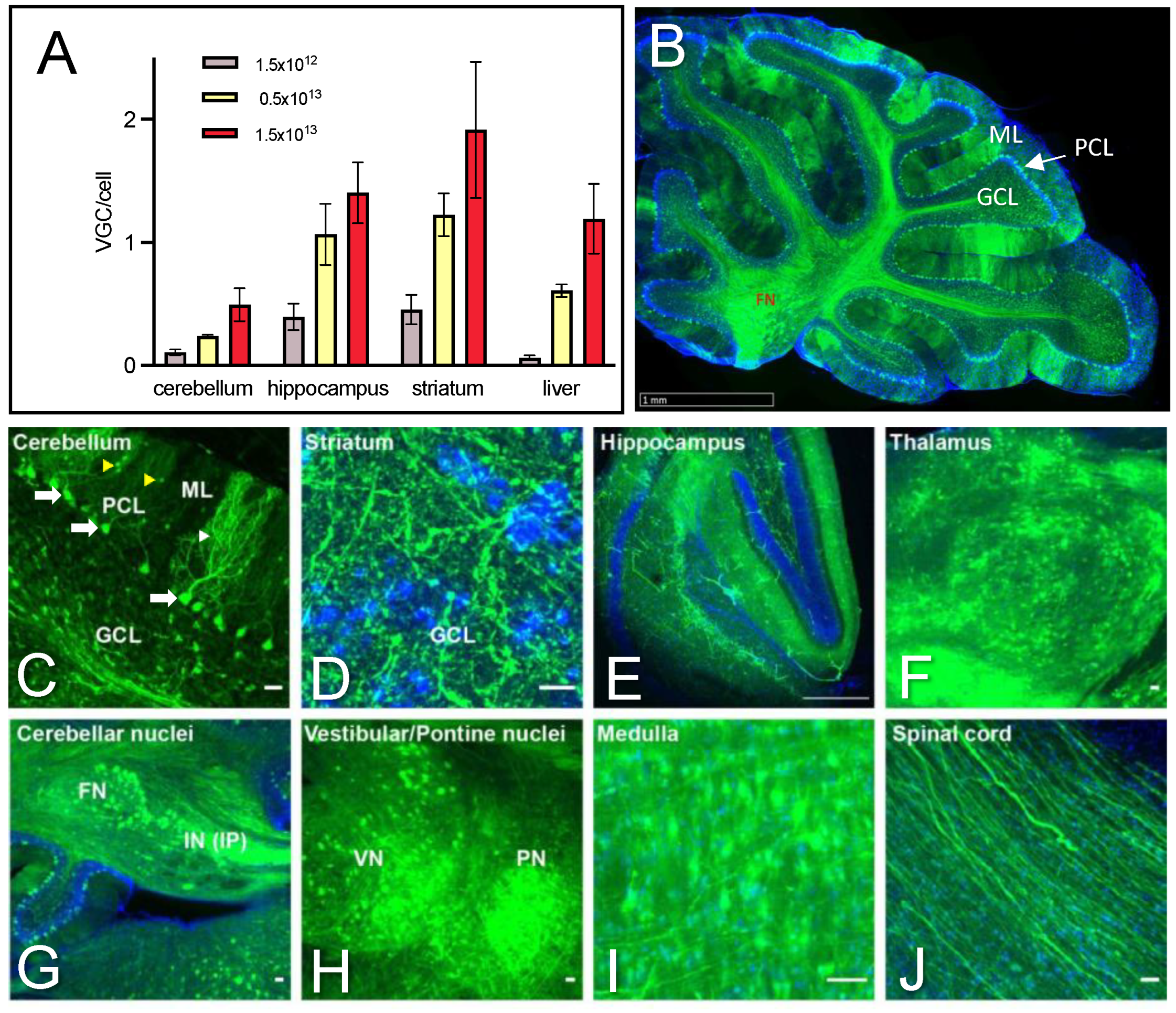 Ijms 25 04354 g002 Ijms 25 04354 g002