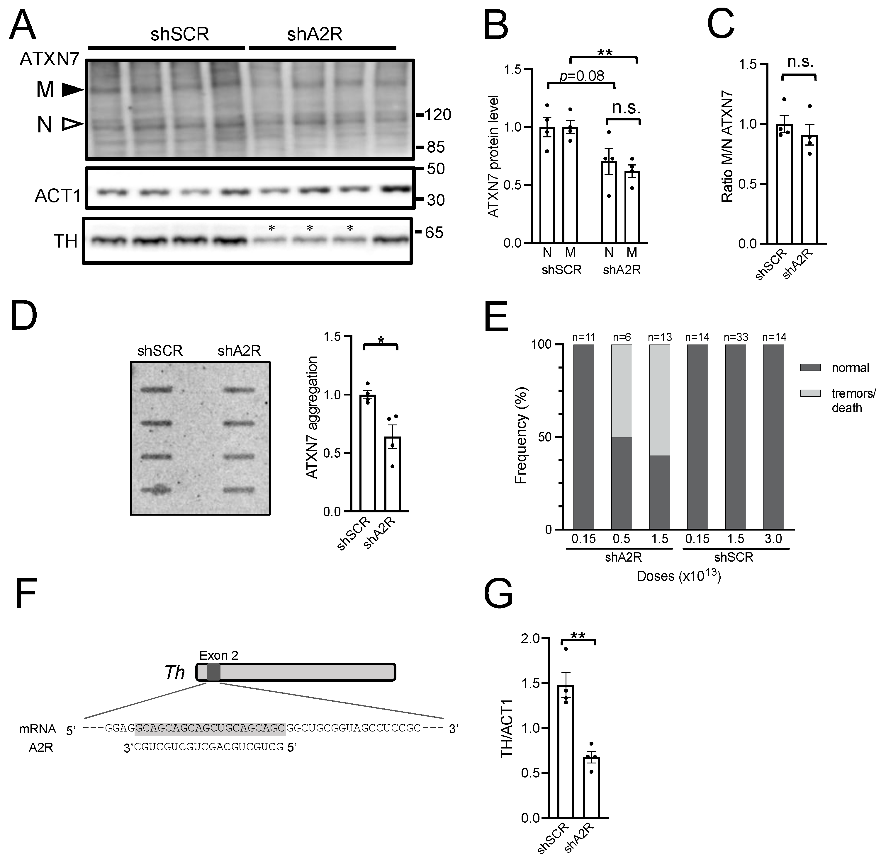 Ijms 25 04354 g003 Ijms 25 04354 g003