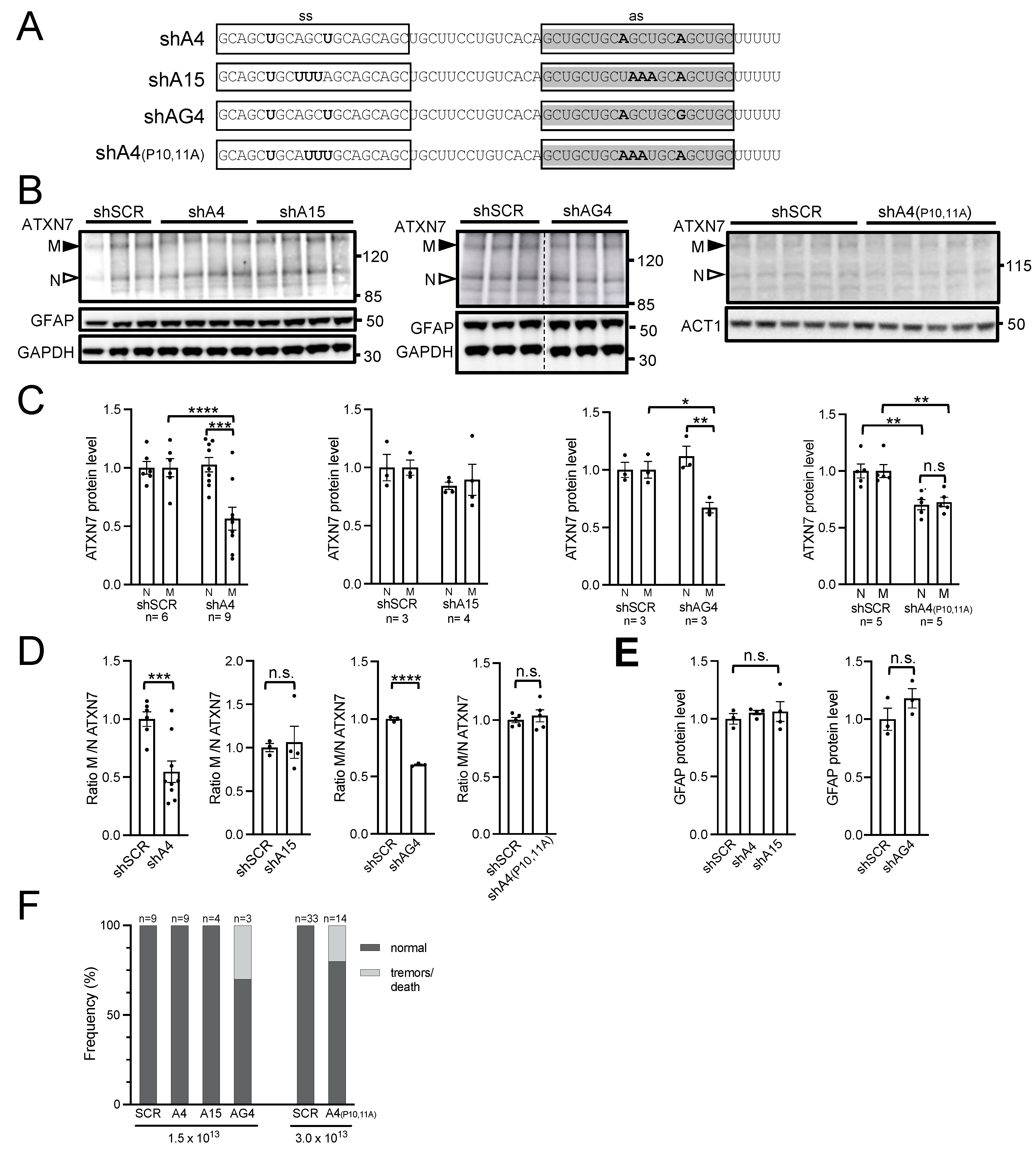 Ijms 25 04354 g004 Ijms 25 04354 g004