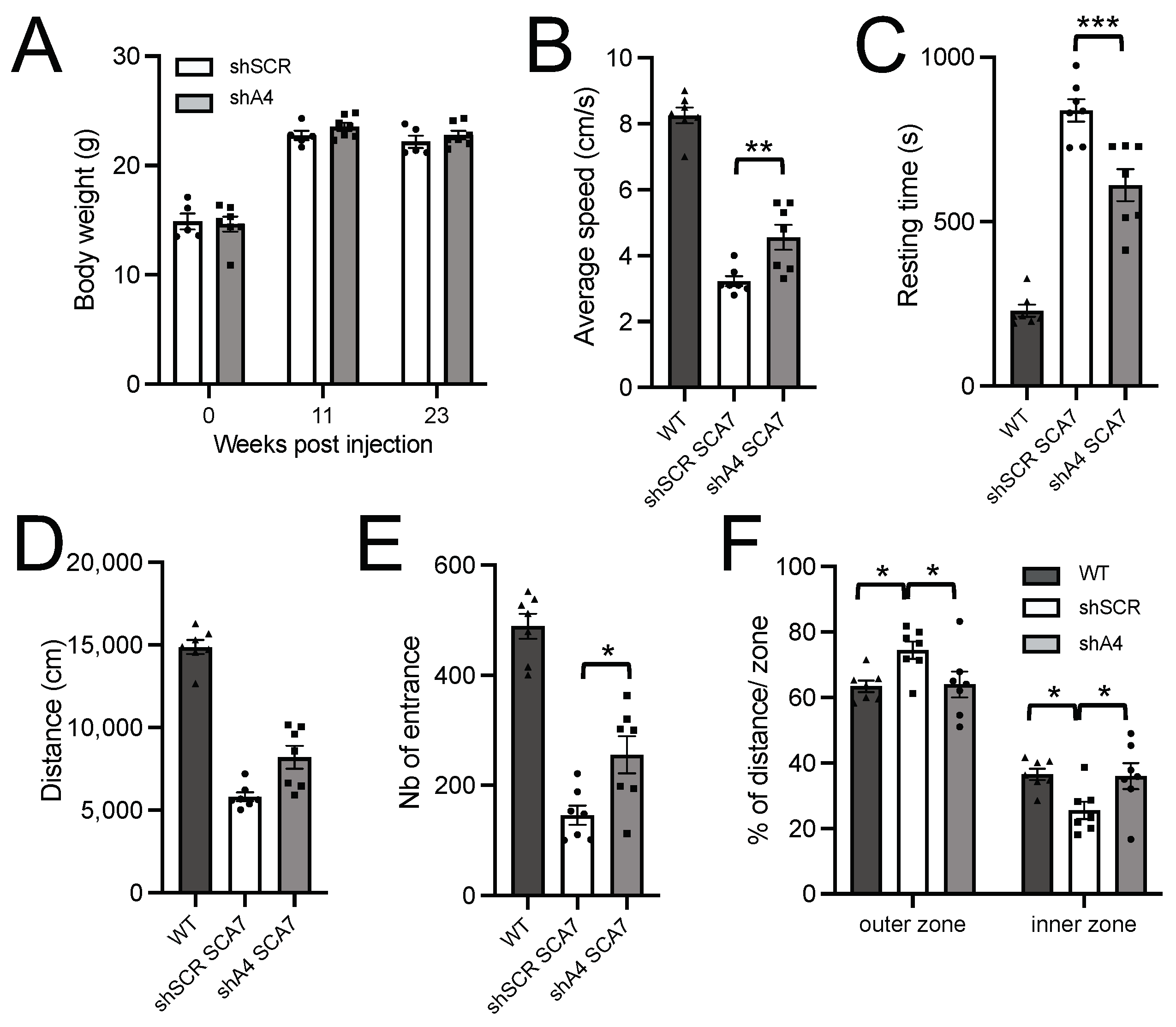 Ijms 25 04354 g005 Ijms 25 04354 g005