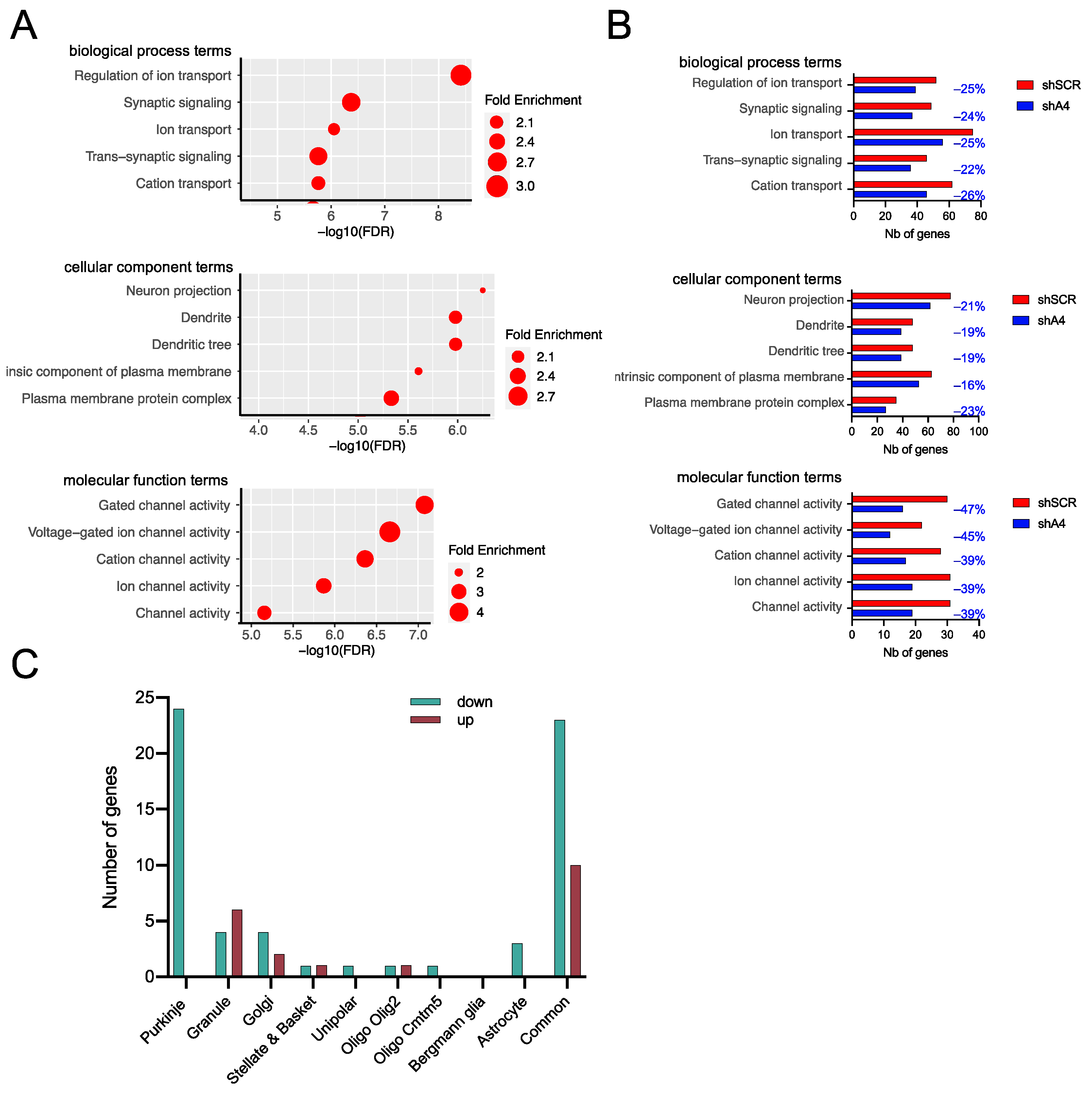 Ijms 25 04354 g006 Ijms 25 04354 g006