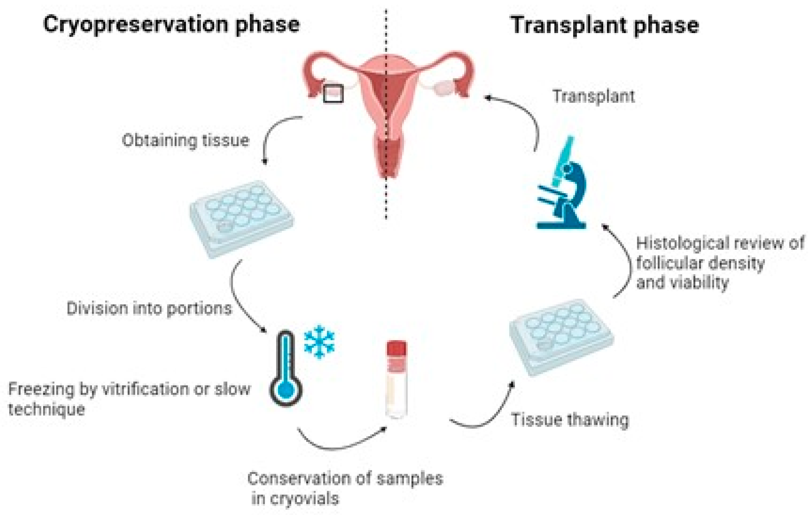 Ijms 25 04360 g001 Ijms 25 04360 g001