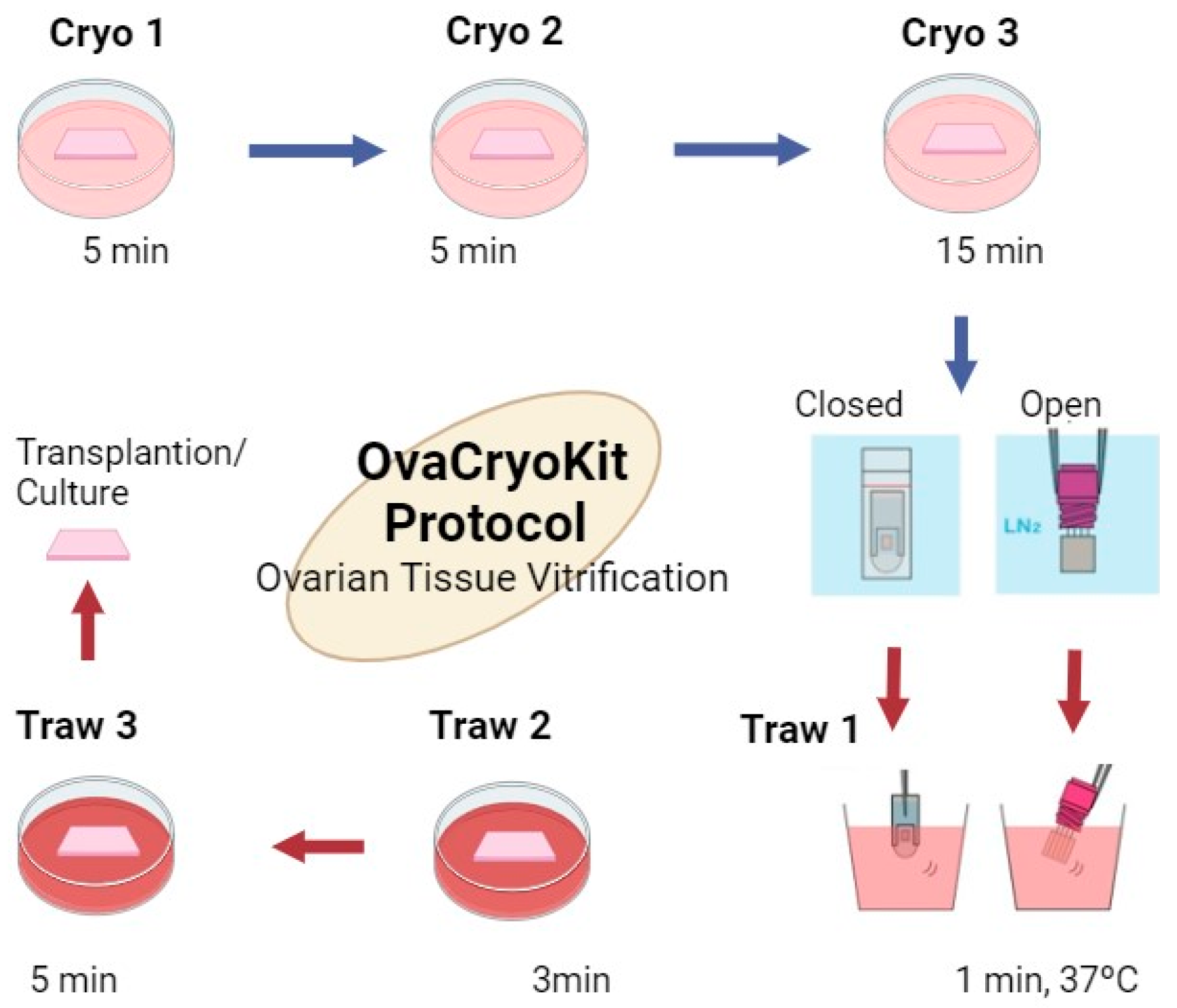 Ijms 25 04360 g005 Ijms 25 04360 g005