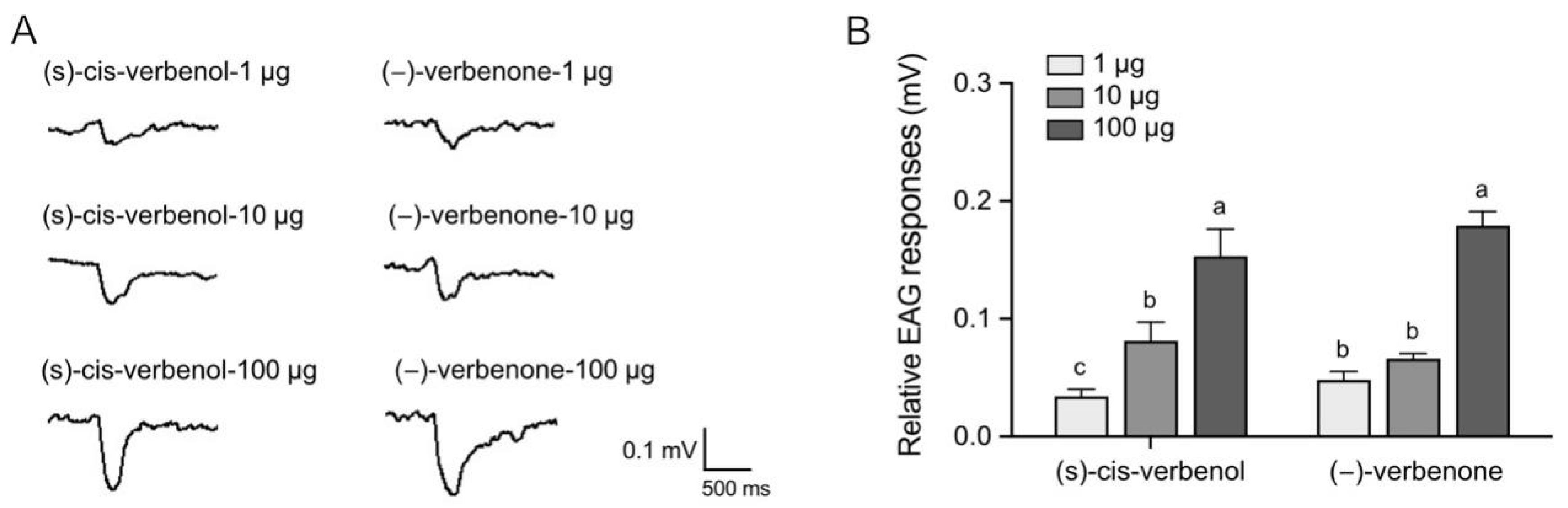 Ijms 25 04362 g002 Ijms 25 04362 g002