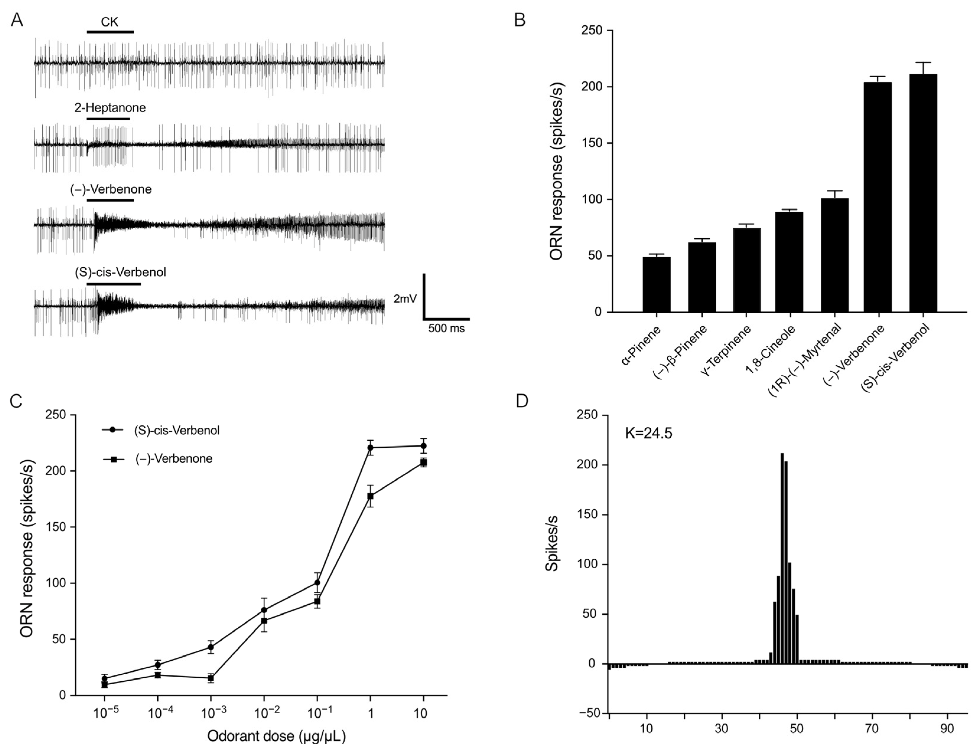 Ijms 25 04362 g003 Ijms 25 04362 g003