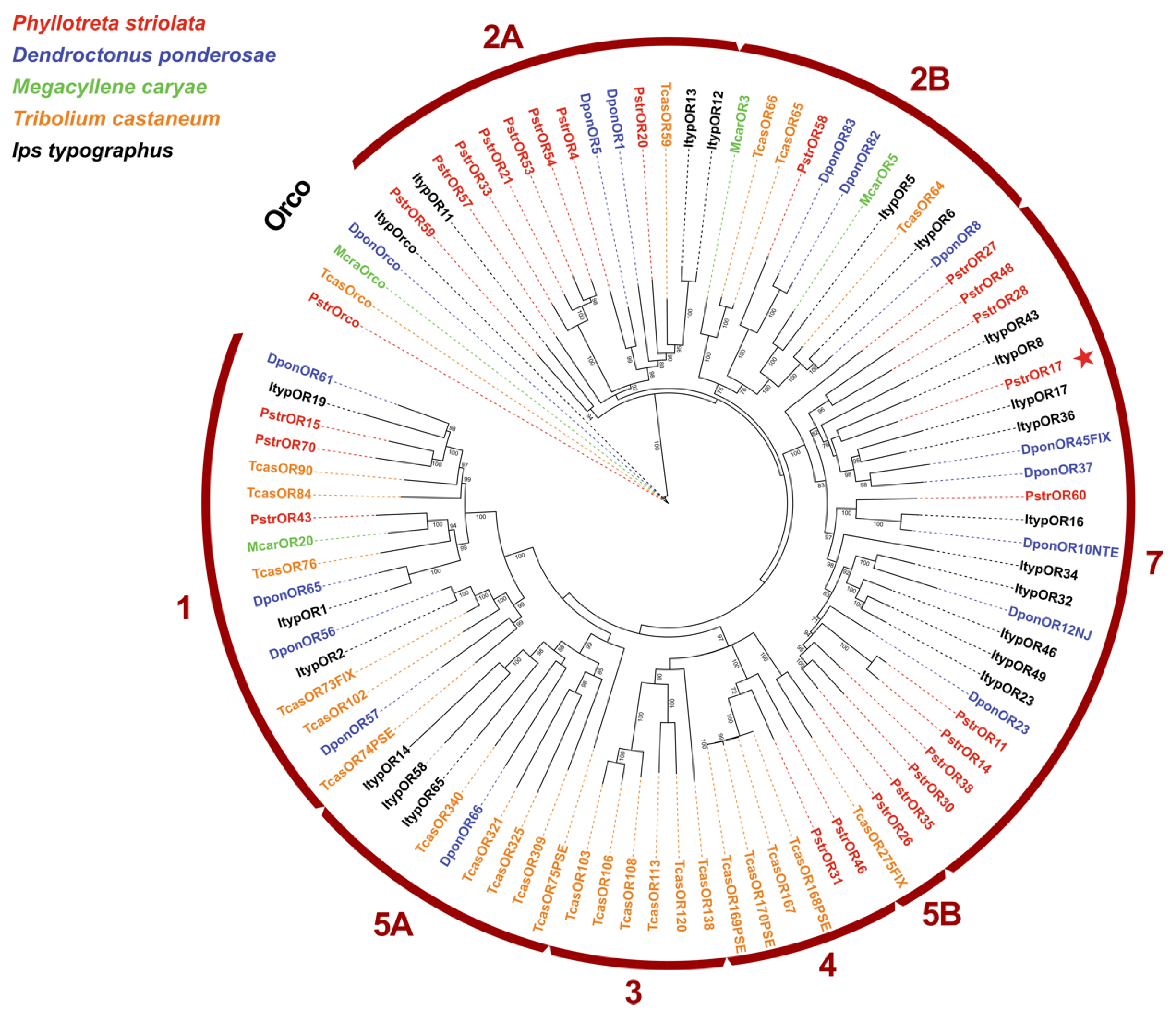 Ijms 25 04362 g004 Ijms 25 04362 g004