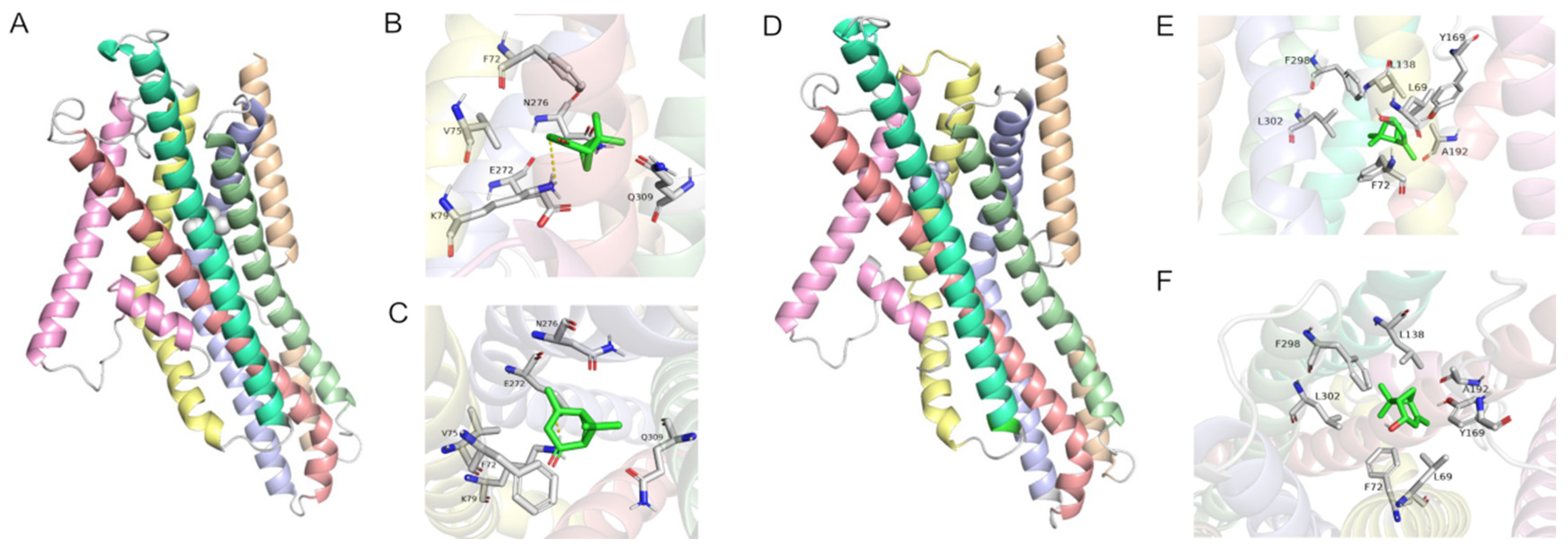 Ijms 25 04362 g006 Ijms 25 04362 g006