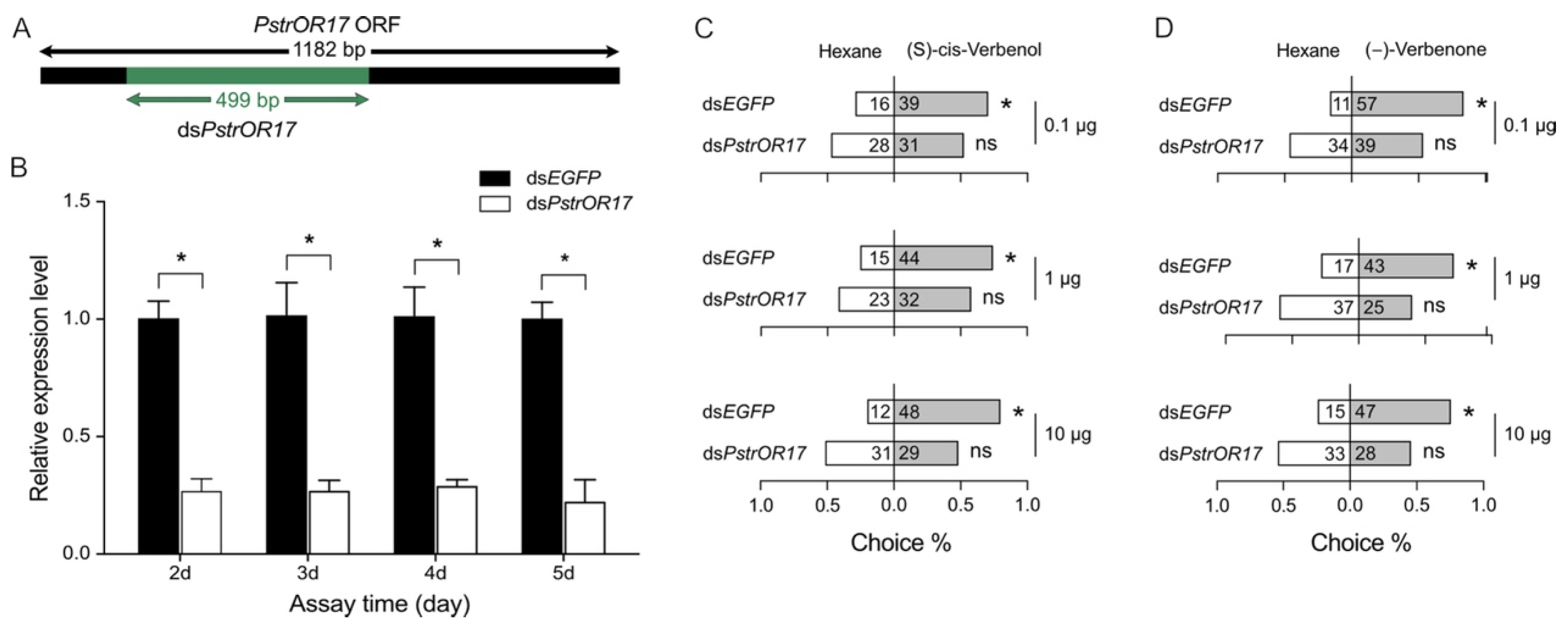 Ijms 25 04362 g007 Ijms 25 04362 g007