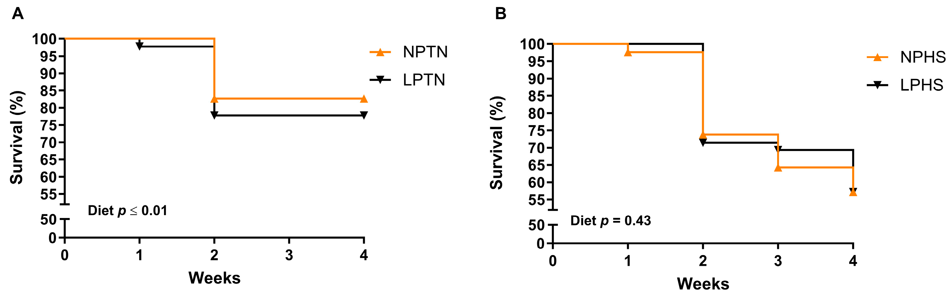 Ijms 25 04369 g001 Ijms 25 04369 g001