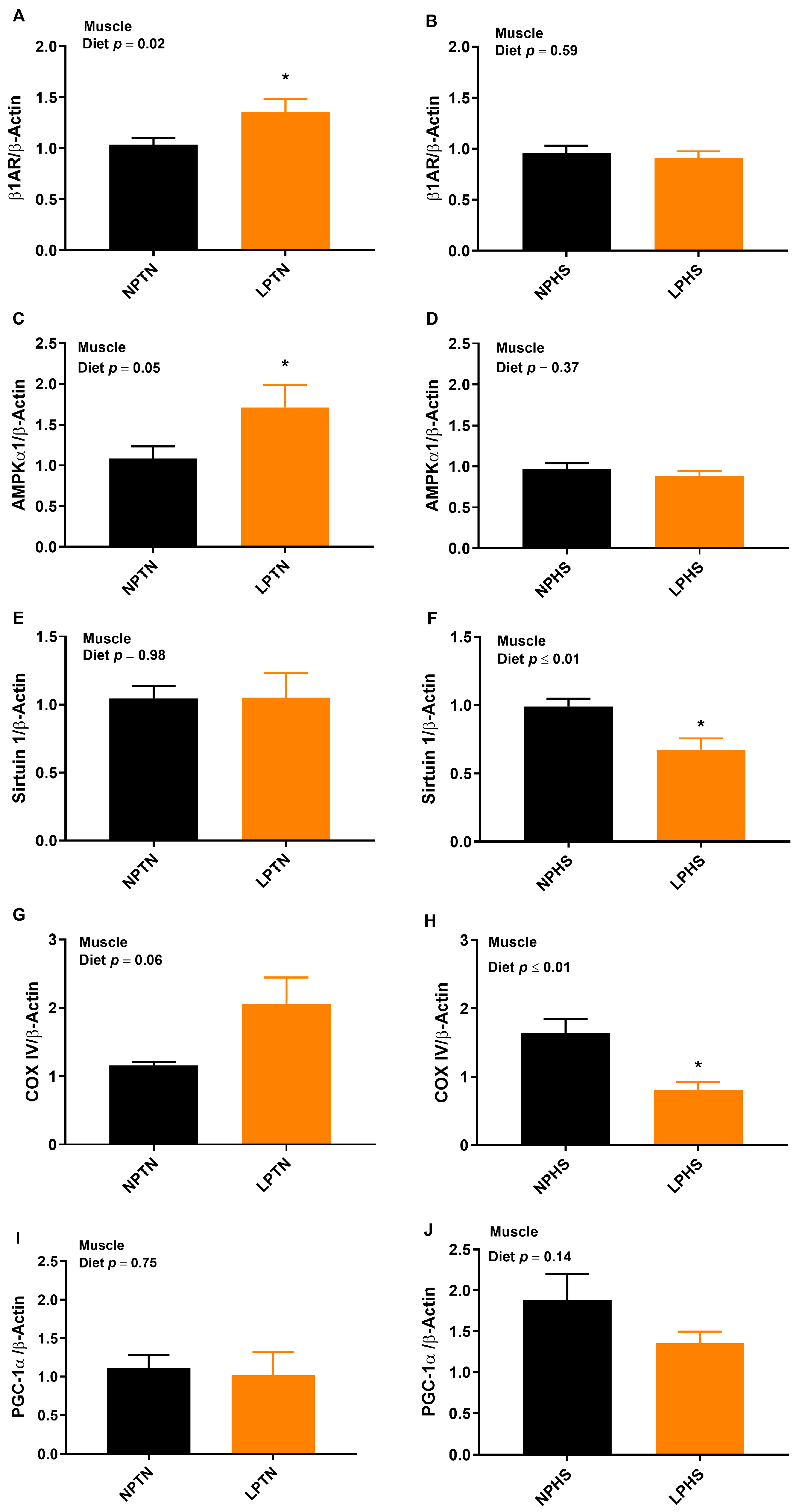 Ijms 25 04369 g004 Ijms 25 04369 g004